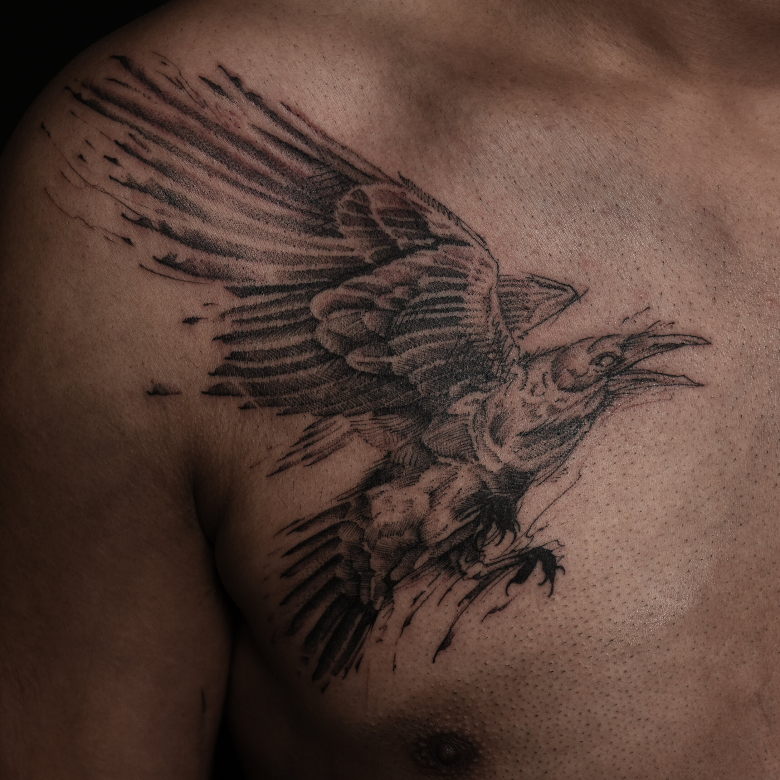 Blackwork hawk tattoo by Katt