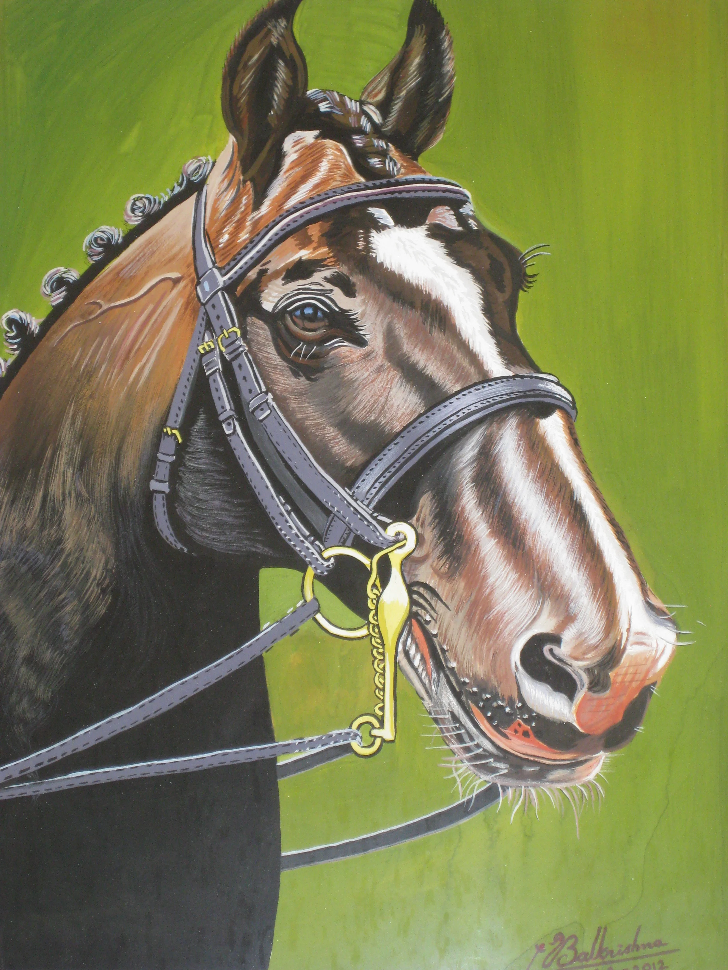 Horse, Gouache, 11x14   