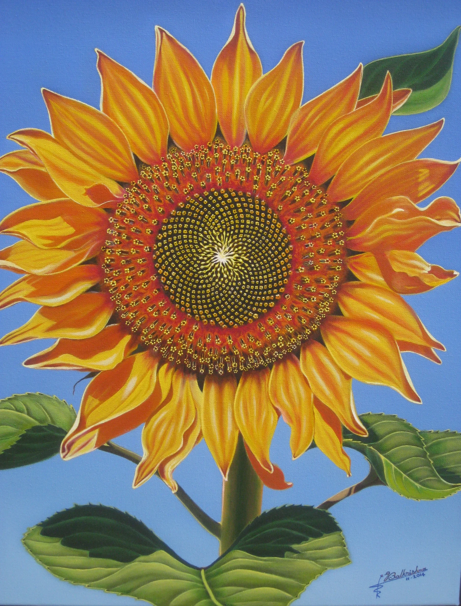 Sunflower (depicting Fibonacci effect), Oil on canvas, 16x20