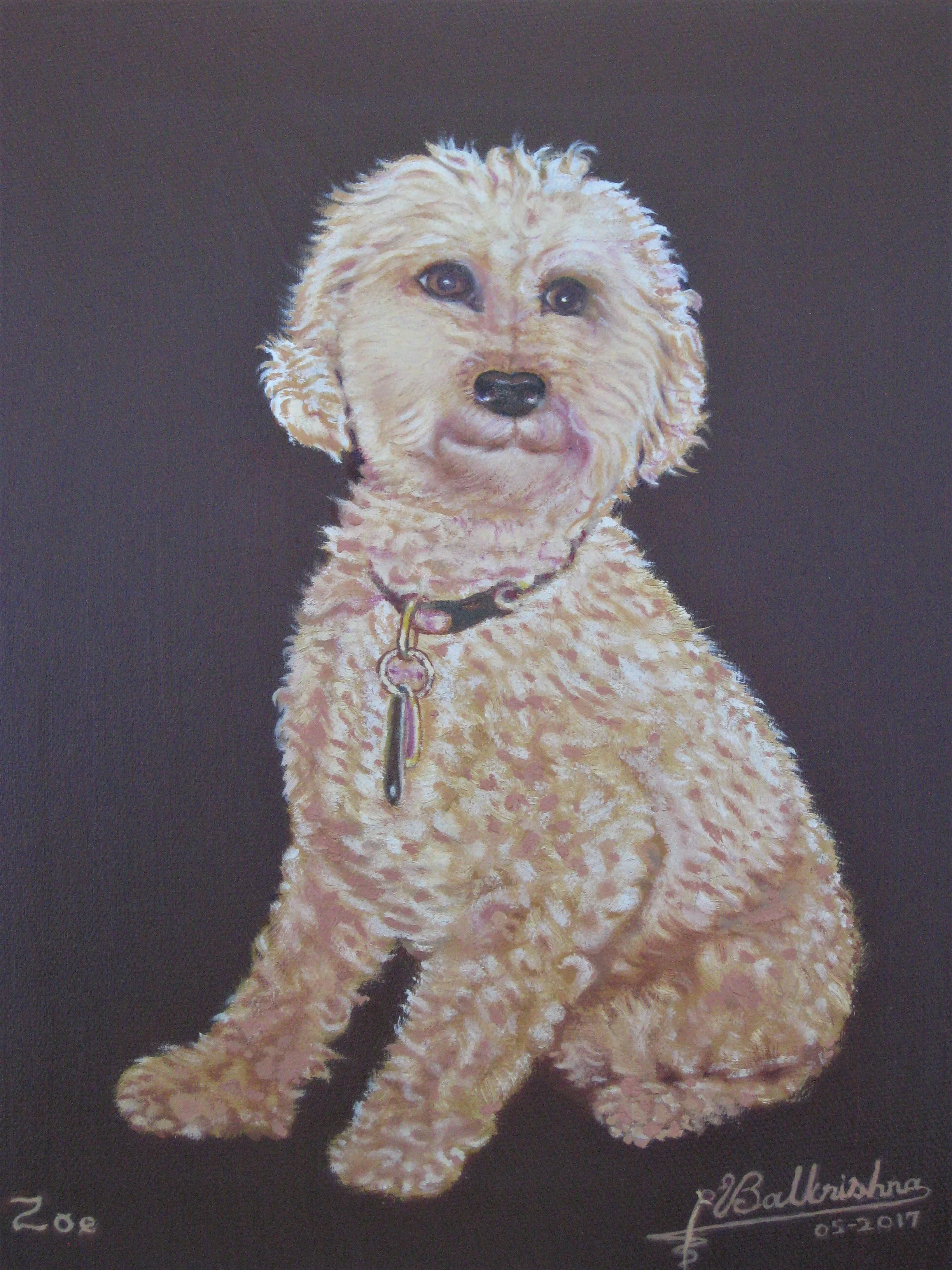 Zoe, Oil on canvas, 8x10, Collection Siddharth Krishna
