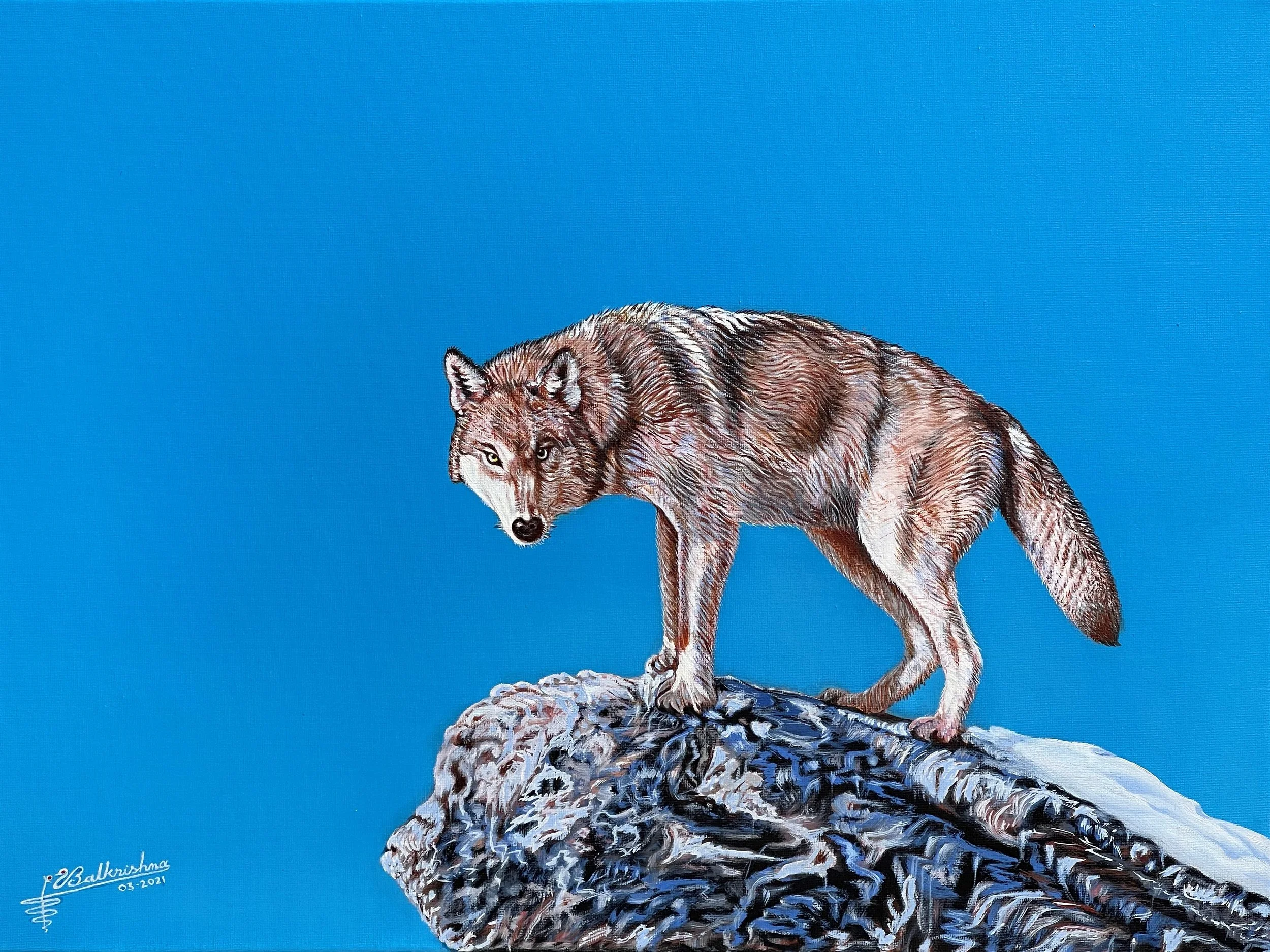 Wolf, Oil on canvas, 18x24, Collection Stefan Haninec