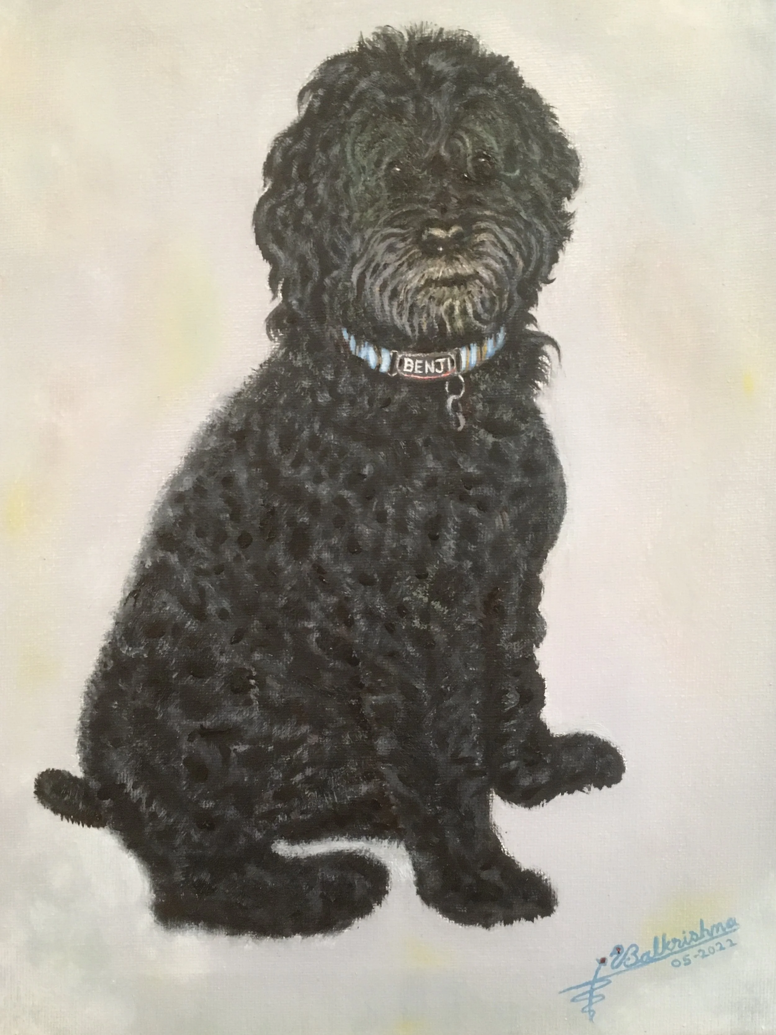 Benji, Oil on canvas, 11x14, Collection Siddharth Krishna