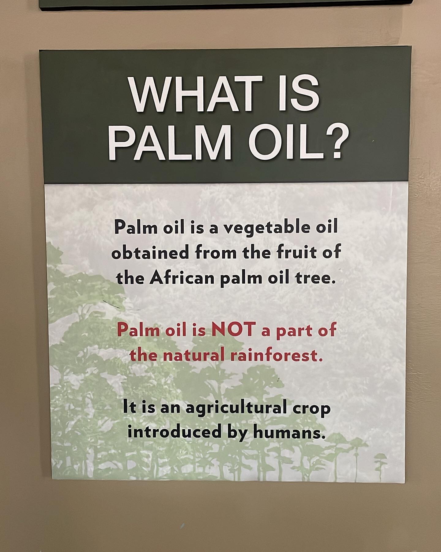 Small changes can make big differences. #palmoil