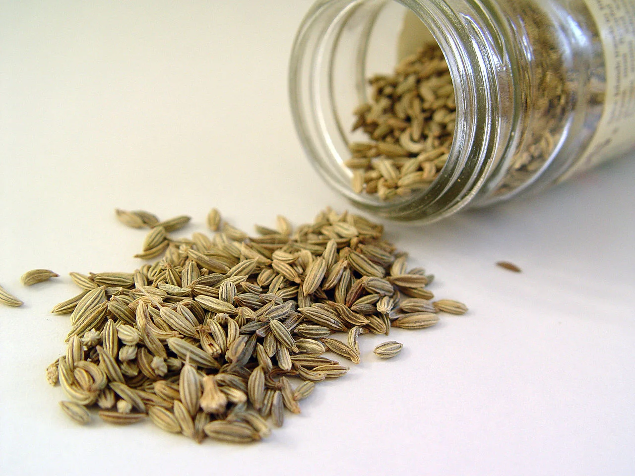 1280px-Fennel_seed.jpg