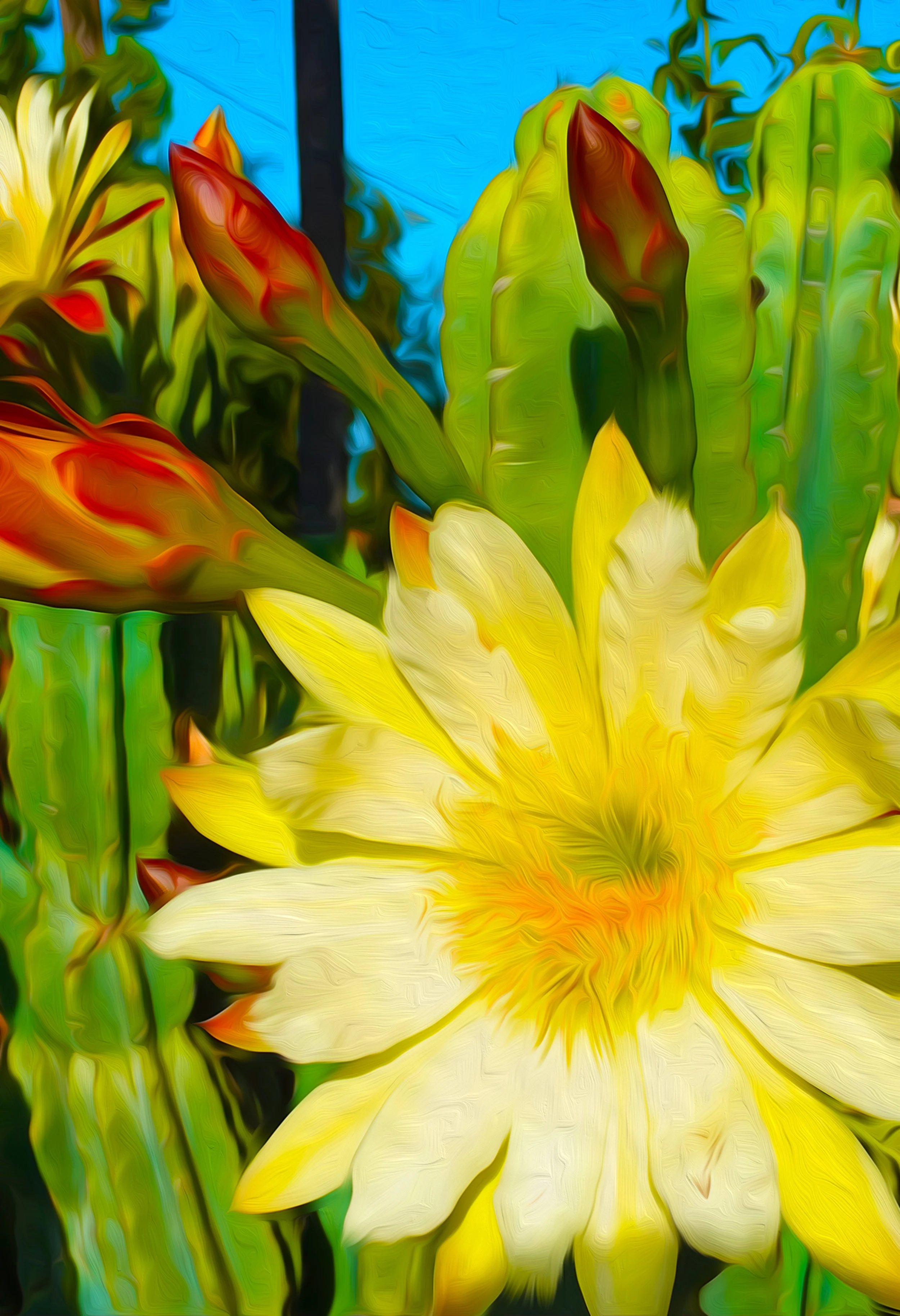 Cactus Blossum 1 jpg