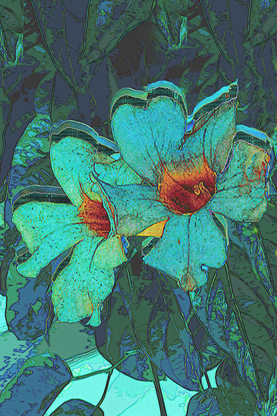 walk flowers color overlay 3jpg