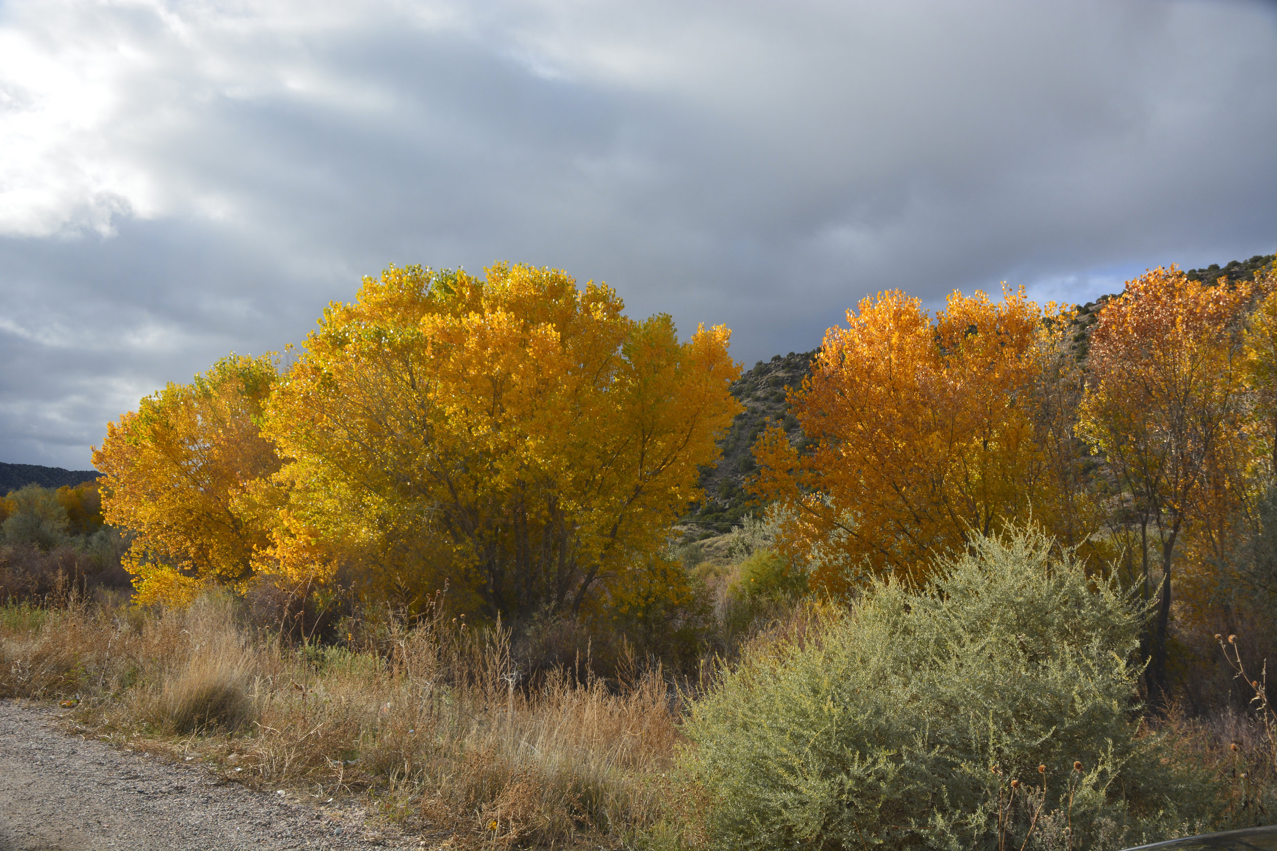 Taos color 2.jpg