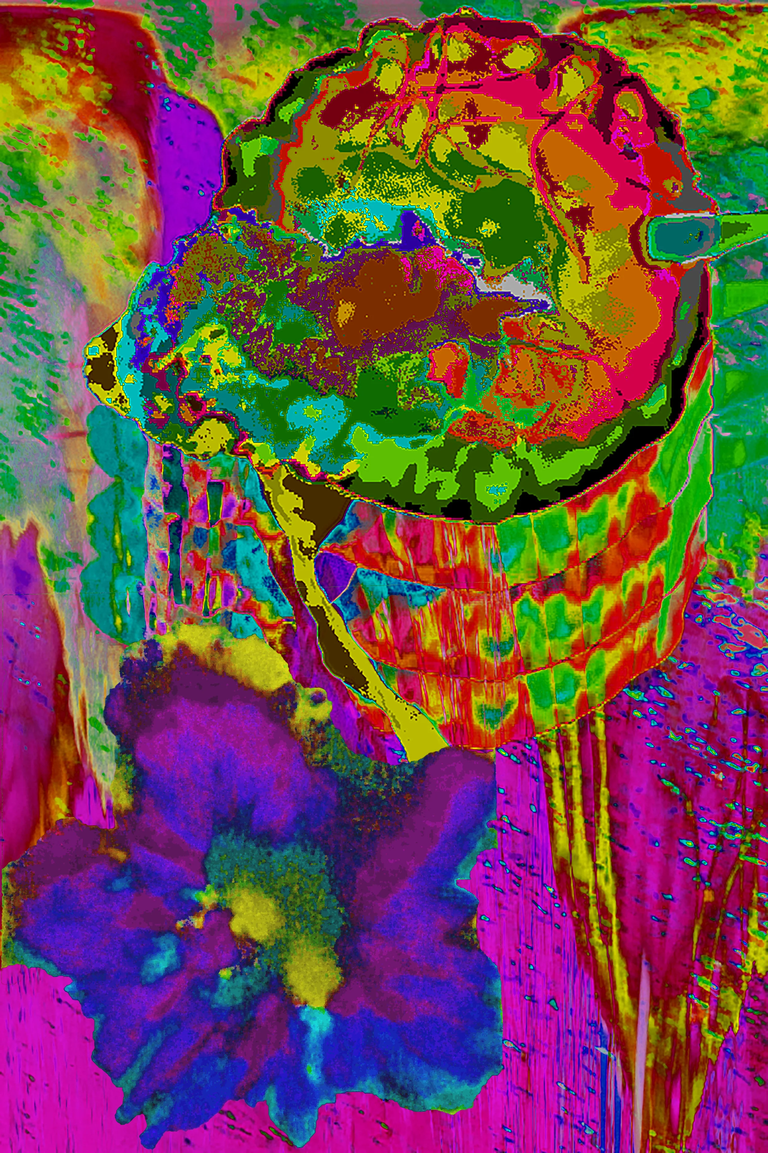 Jeiiy fish and flower.jpg