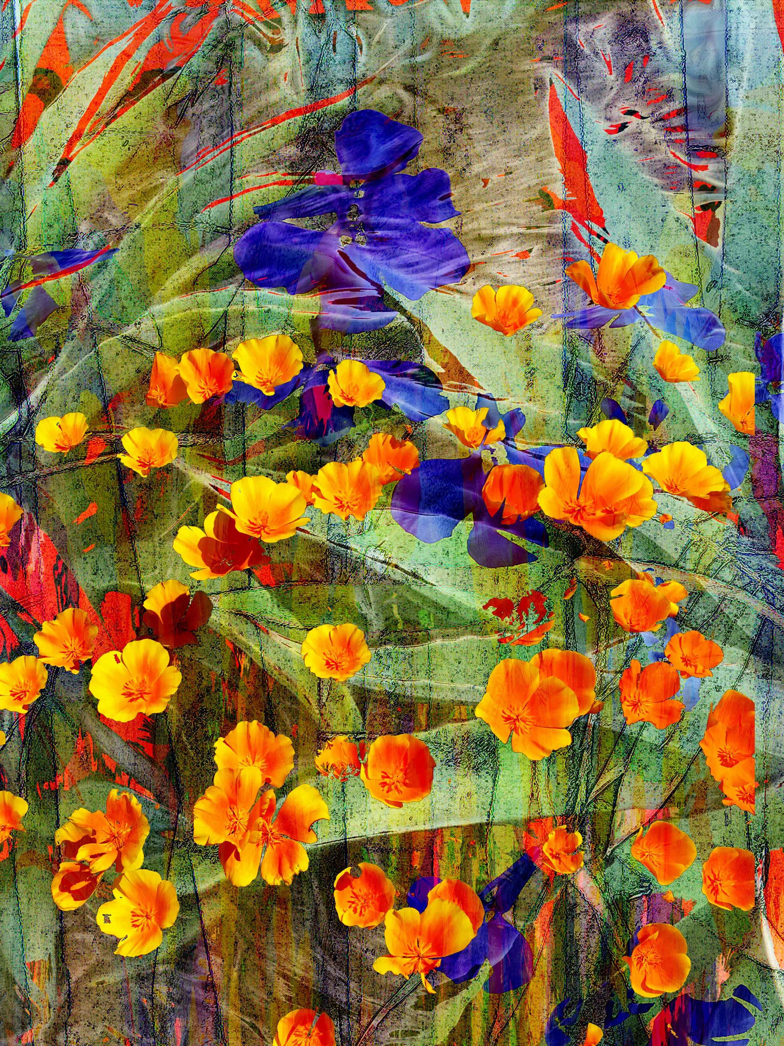 Poppies over Irus layers post.jpg