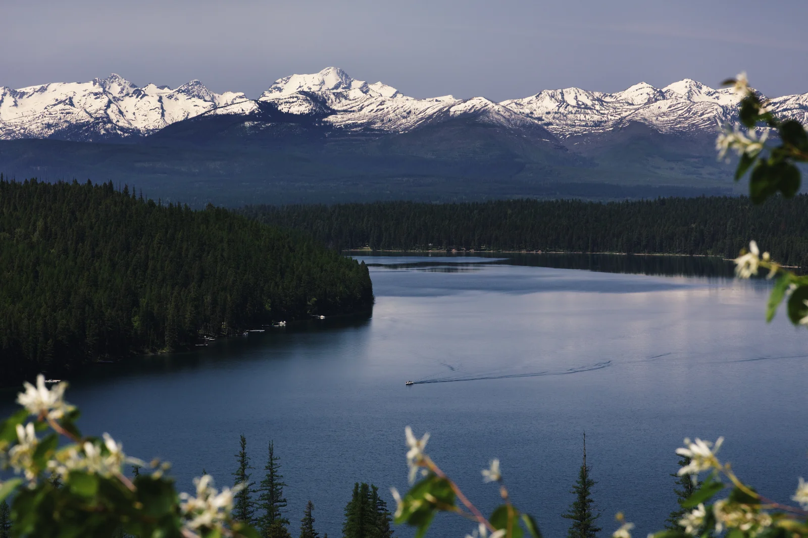 Looking towards the back side of the Mission Mountains from the Holland Falls overlook.
