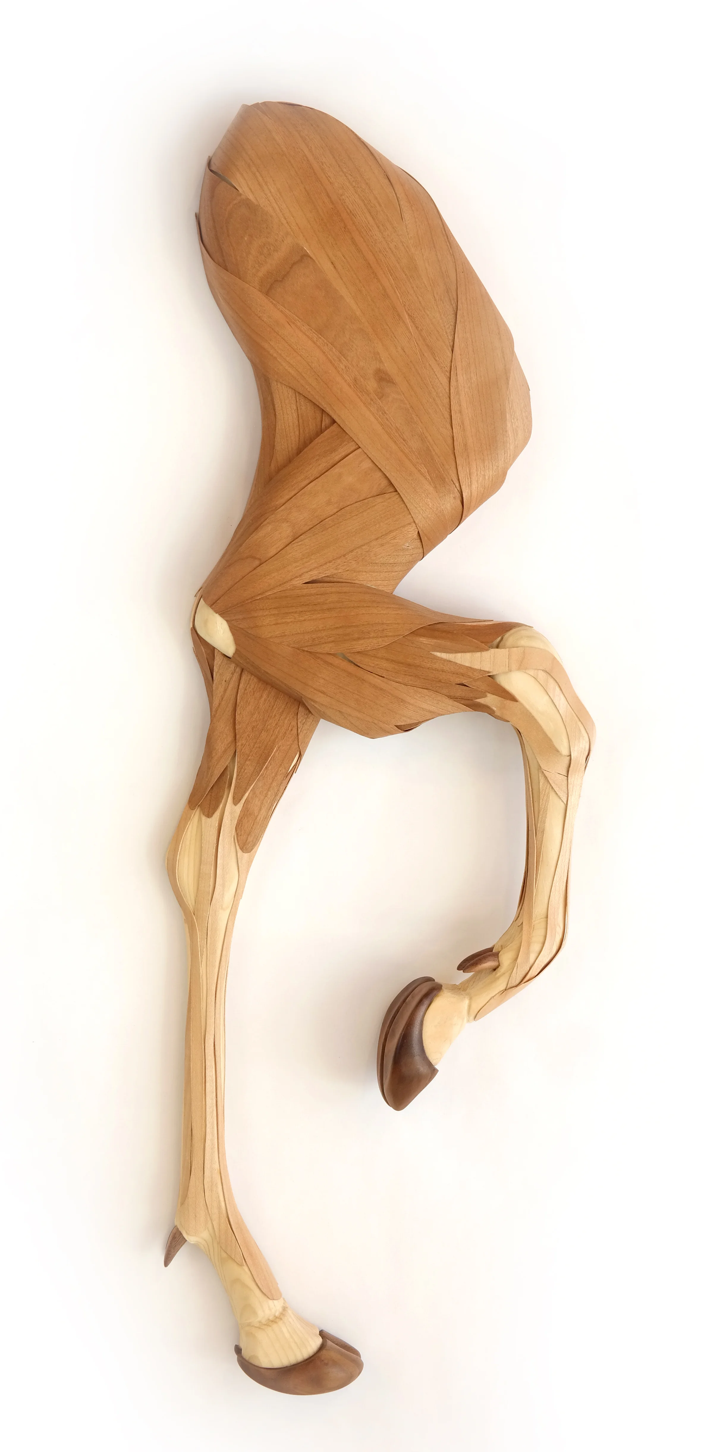 Deer Forelegs<br/>2017 wood 27" x 9" x 2"