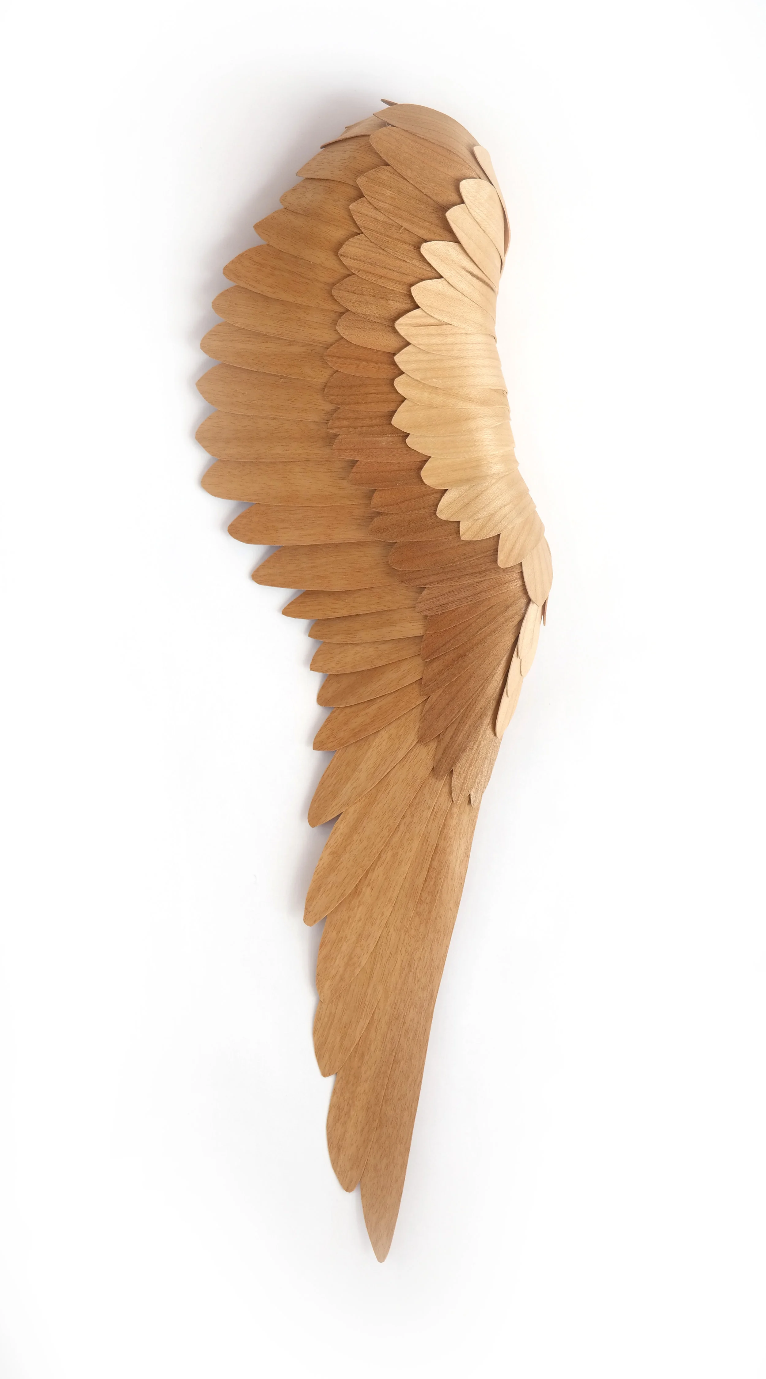 Egret Wing<br/>2017 wood 17" x 5" x 2"