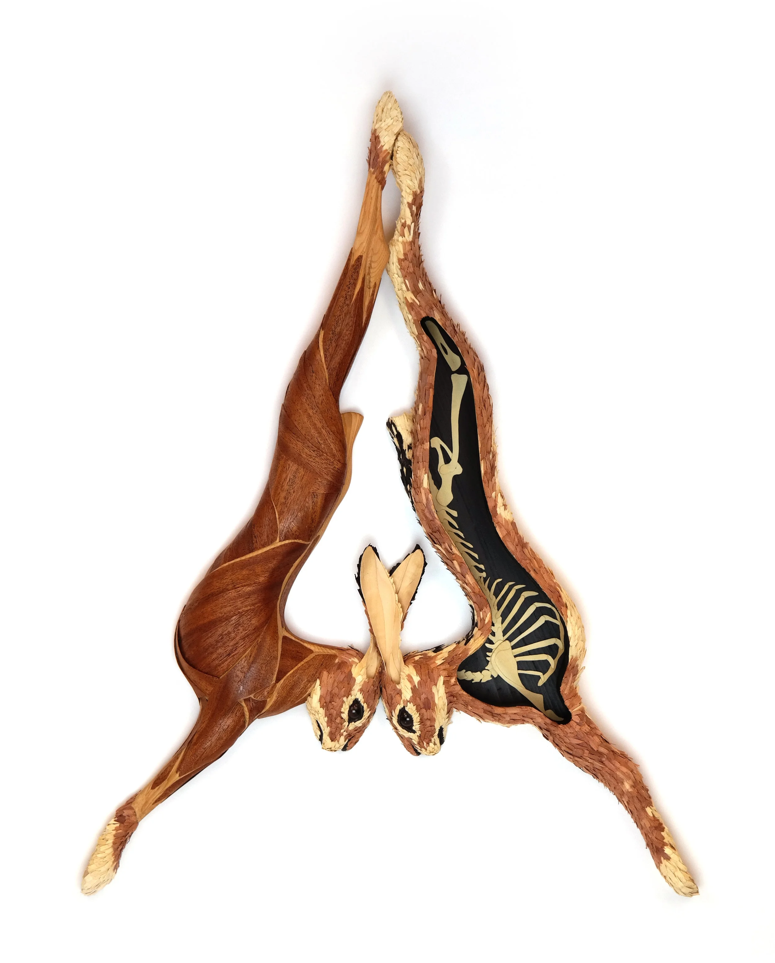 Jackrabbit Cross Section <br/>2017 wood 26" x20" x2"