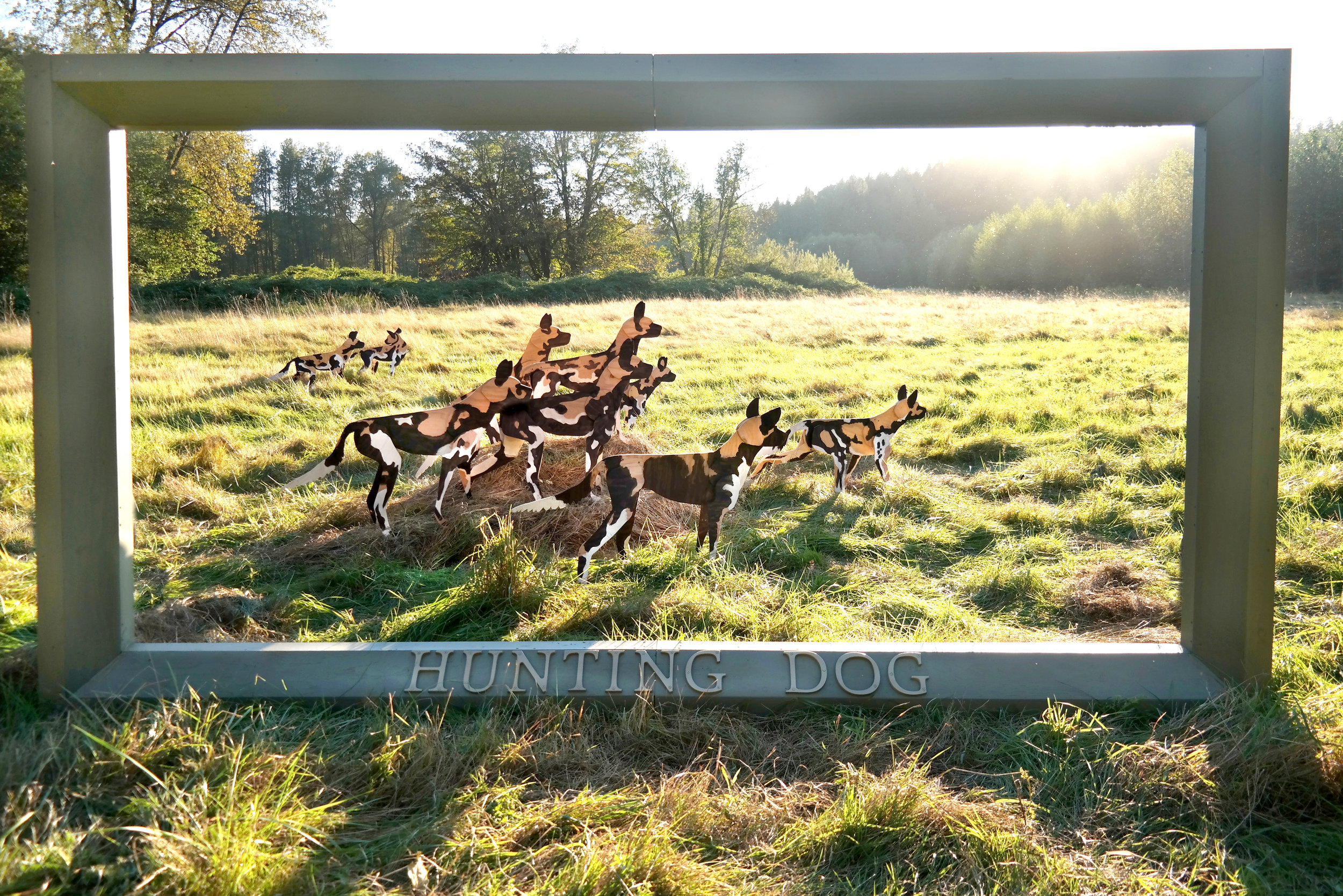 The Wild Hunting Dog, 2014, Lo Fi Ad Hoc at Smoke Farm Arlington, WA