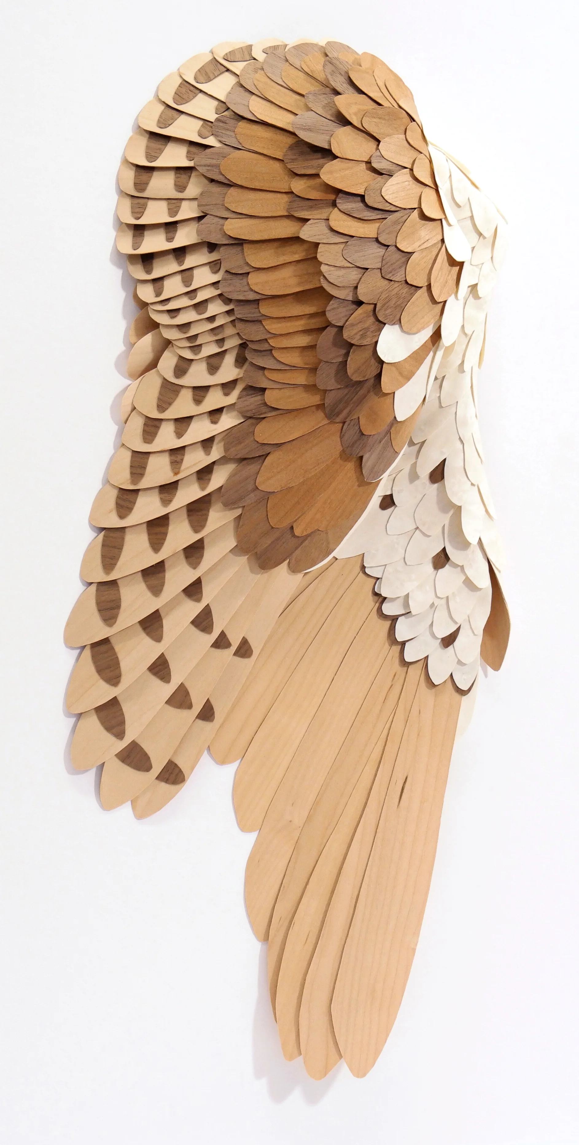 Noctua 2018 wood 29" x 16" x 4"