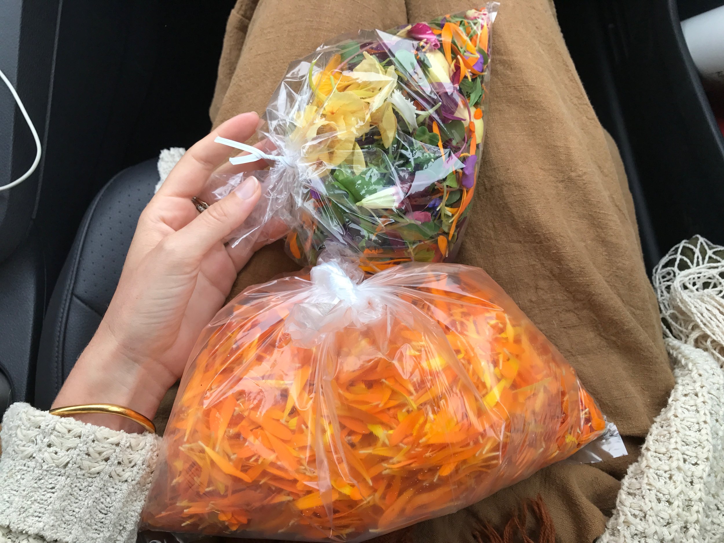 Edible Flowers, Earthworker Farm