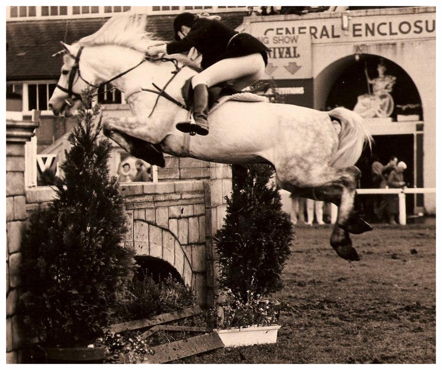 Grange Jumping at Dublin.jpg