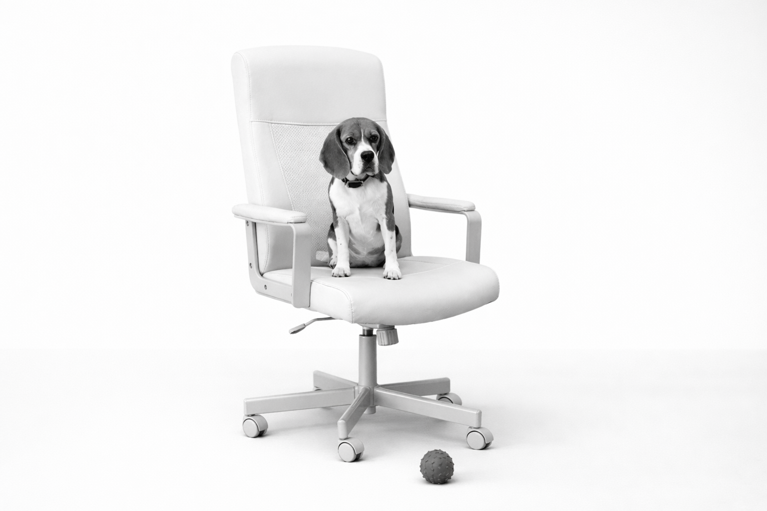 IKEA: Spot the Difference