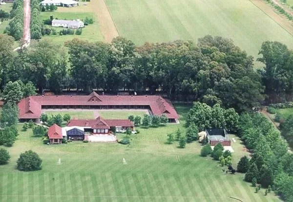 Ellerstina