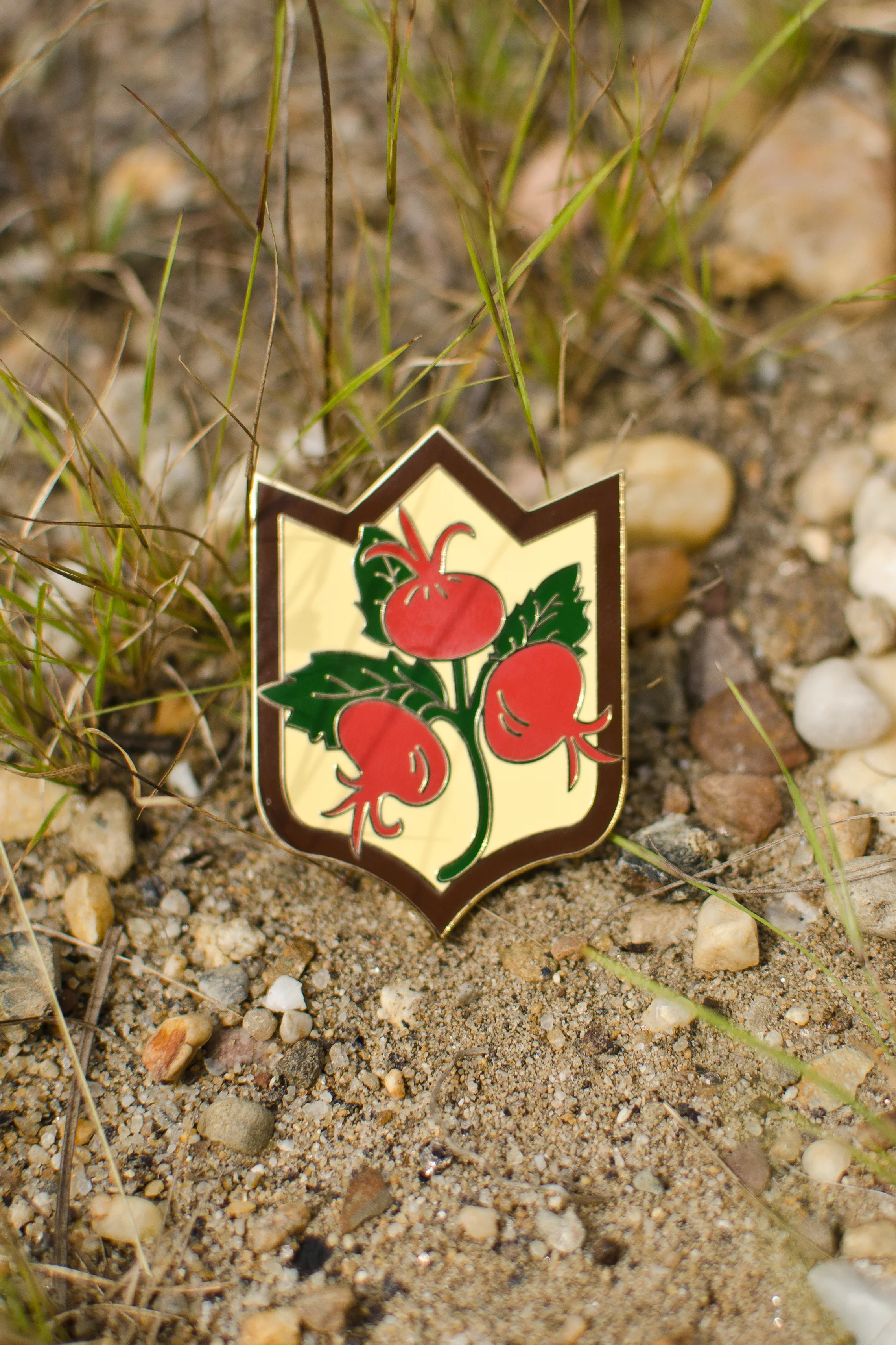 Forager-8.jpg