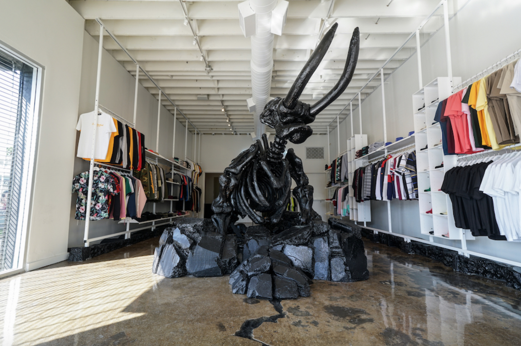 CURIO-TheHundreds-streetwear-boutique-la-losangeles.gif