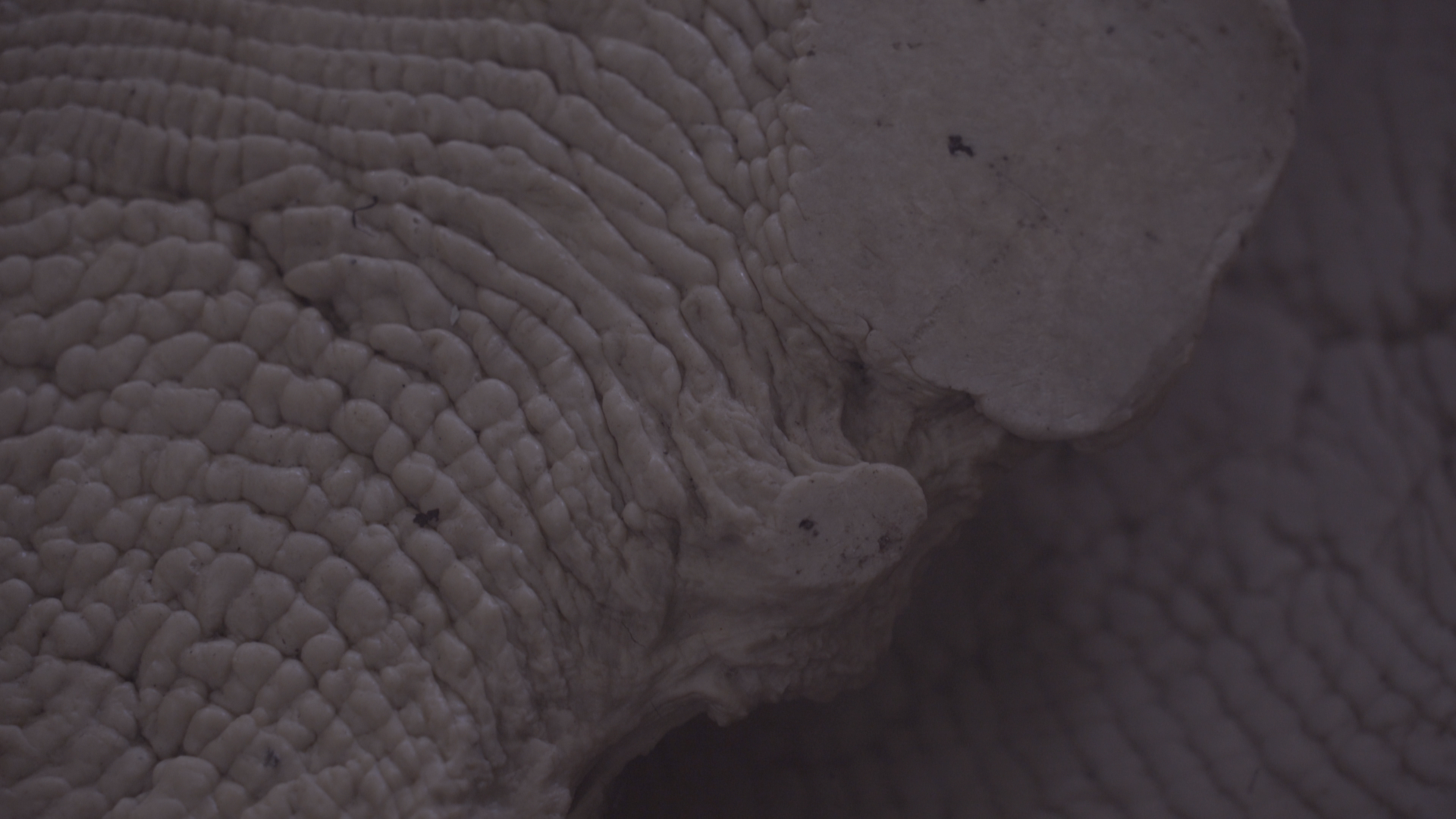Screenshot (158).png