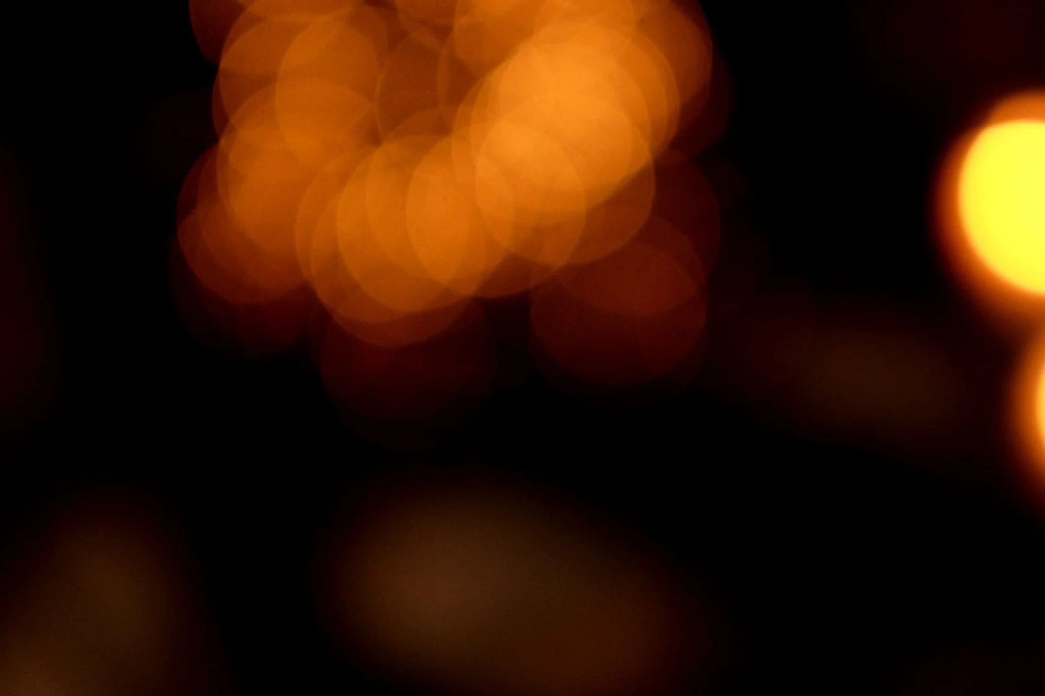 DSCF8326.jpg