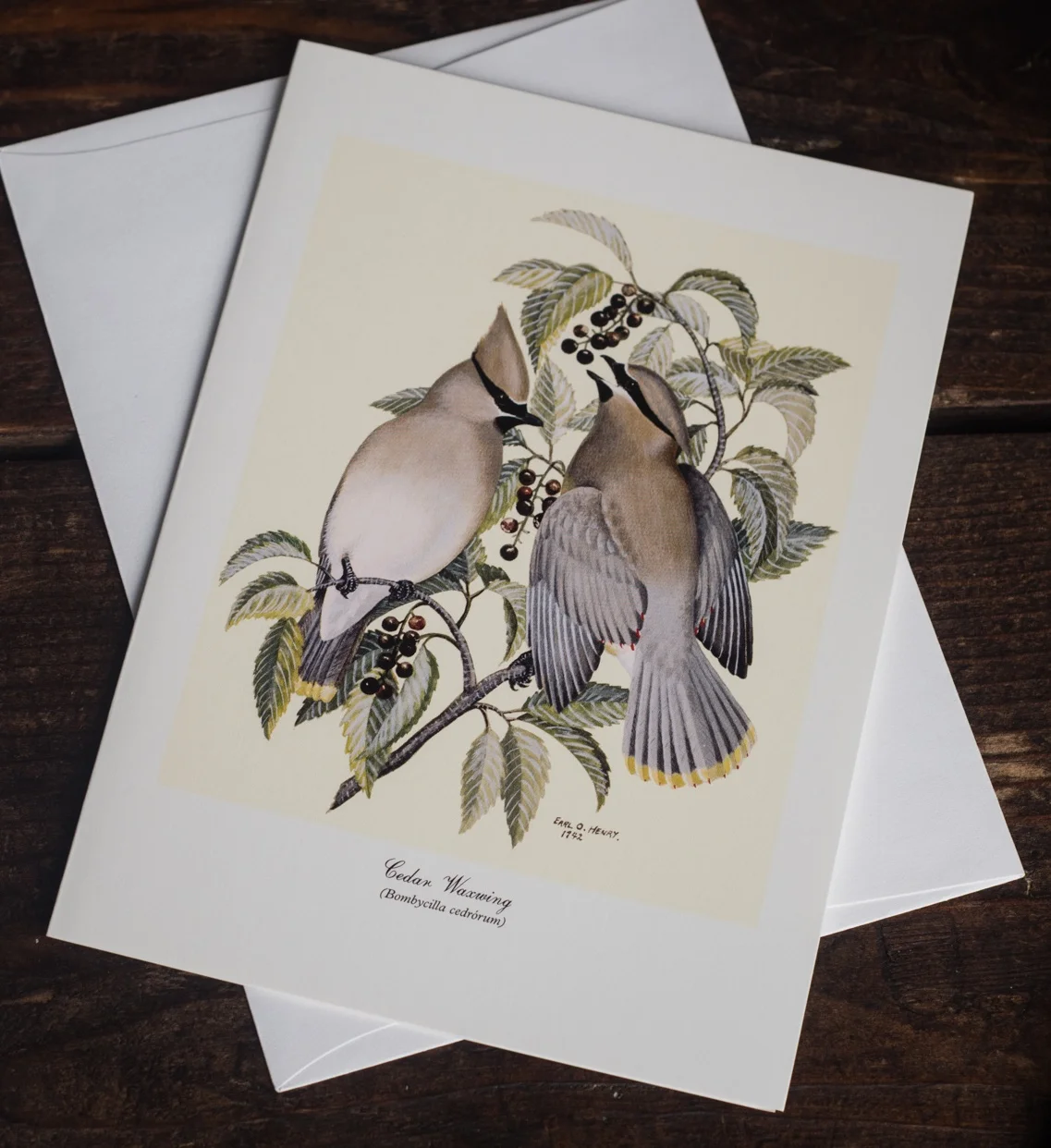 Cedar Waxwing.jpg