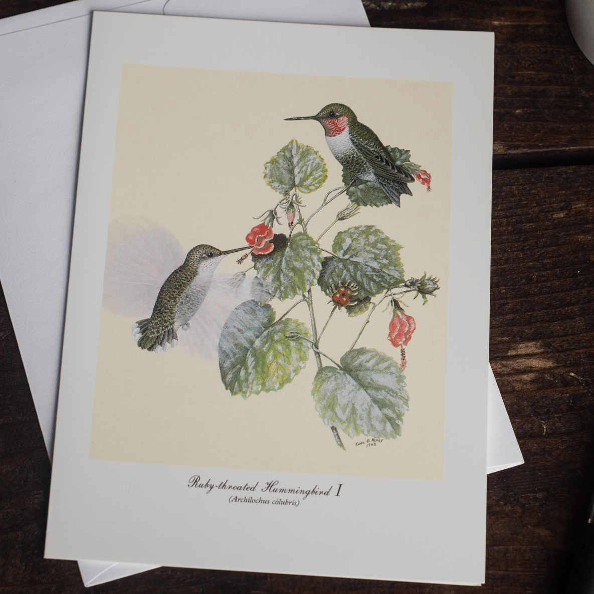 Hummingbird I print.png