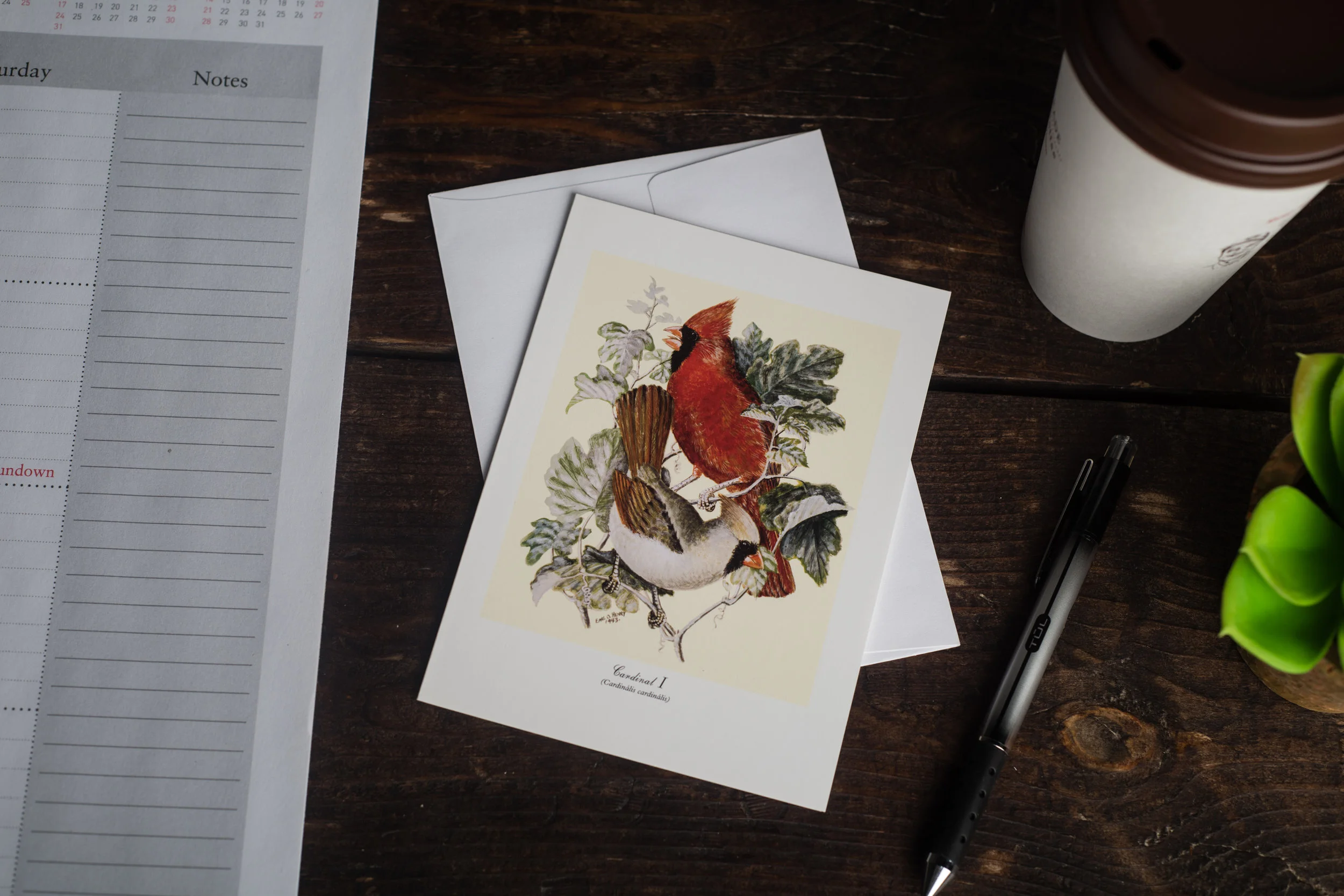 Red Bird Assortment (12 Notecards)