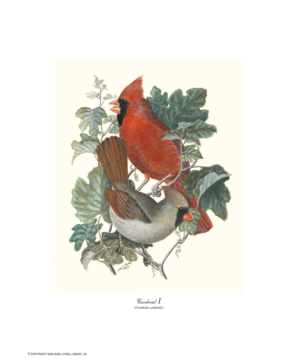 Cardinal I + 3 other small prints