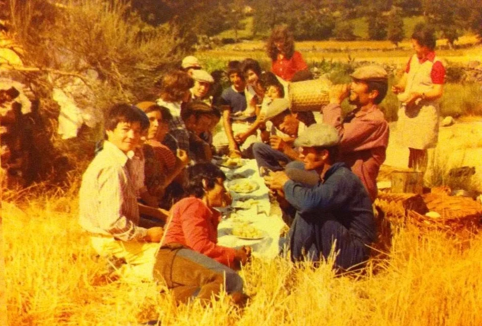 Old Pipas Picnic.jpg