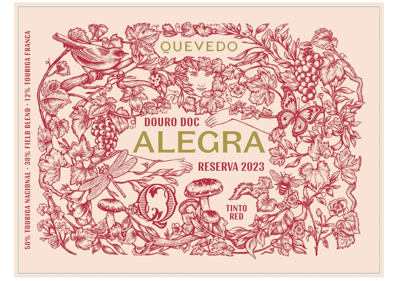 Quevedo Alegra Red 20243_Back label.jpg