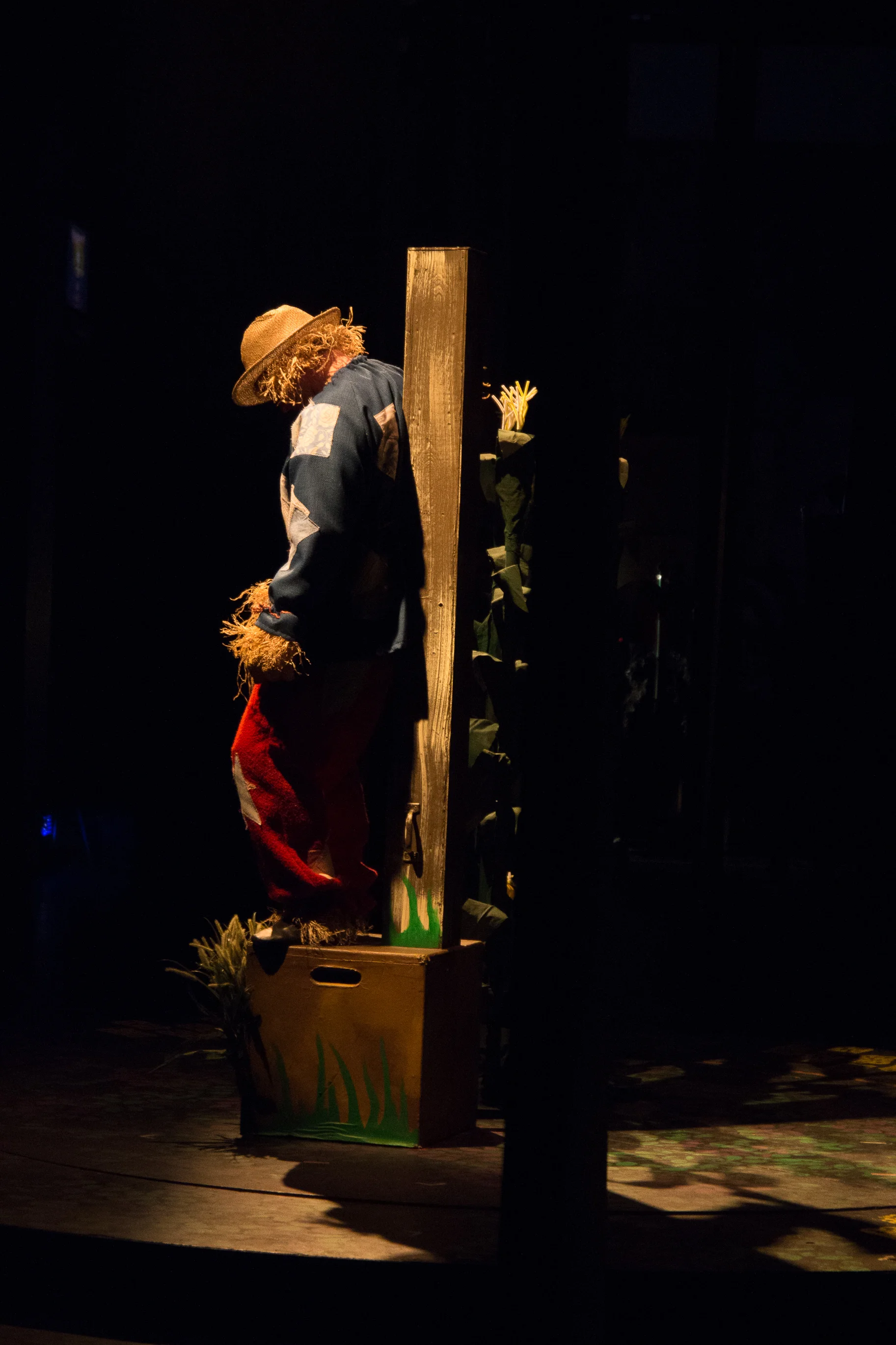 MCT_Oz_Photo Shoot (38 of 51).jpg.jpg