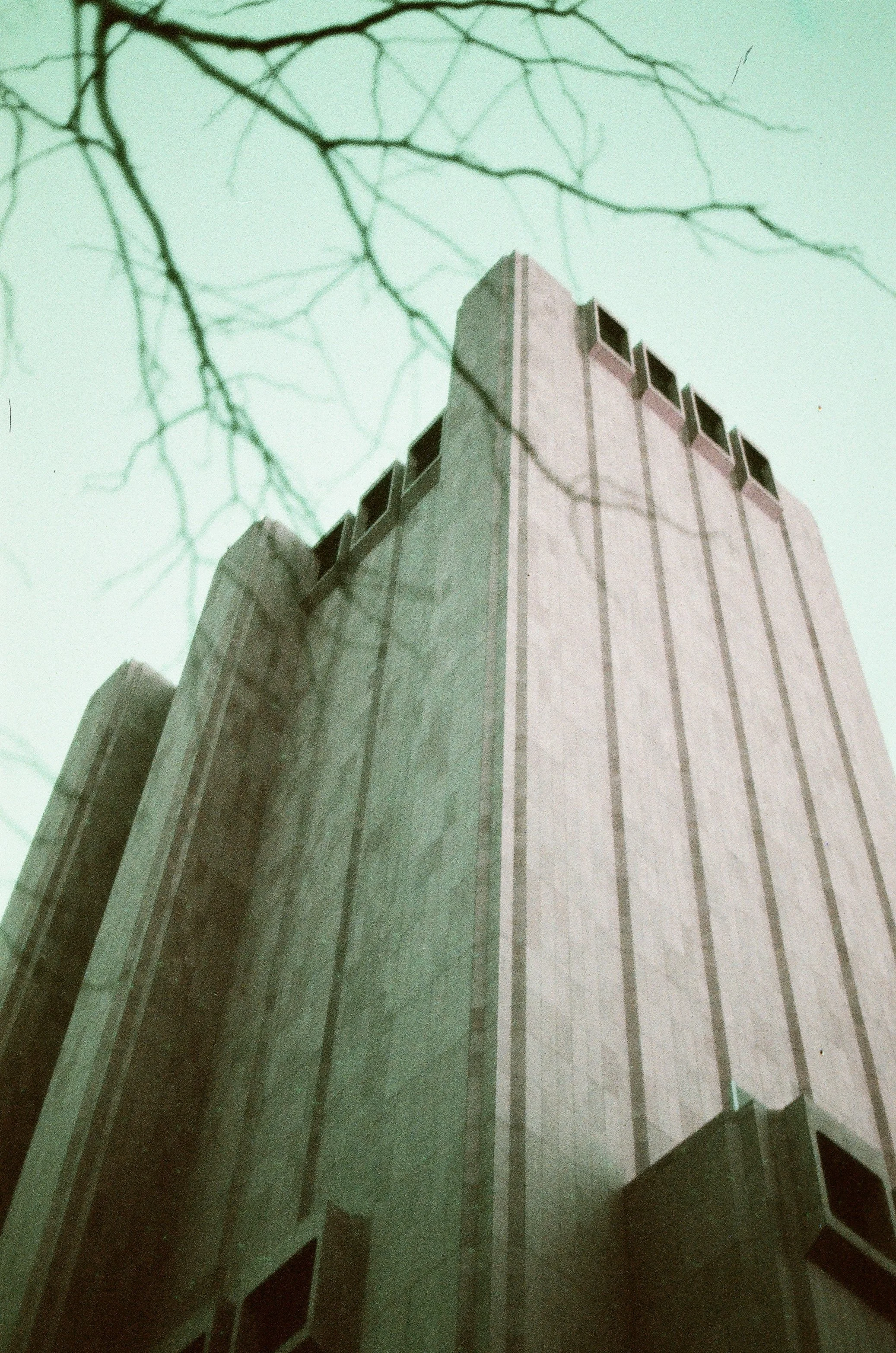 IMG_1173.jpeg