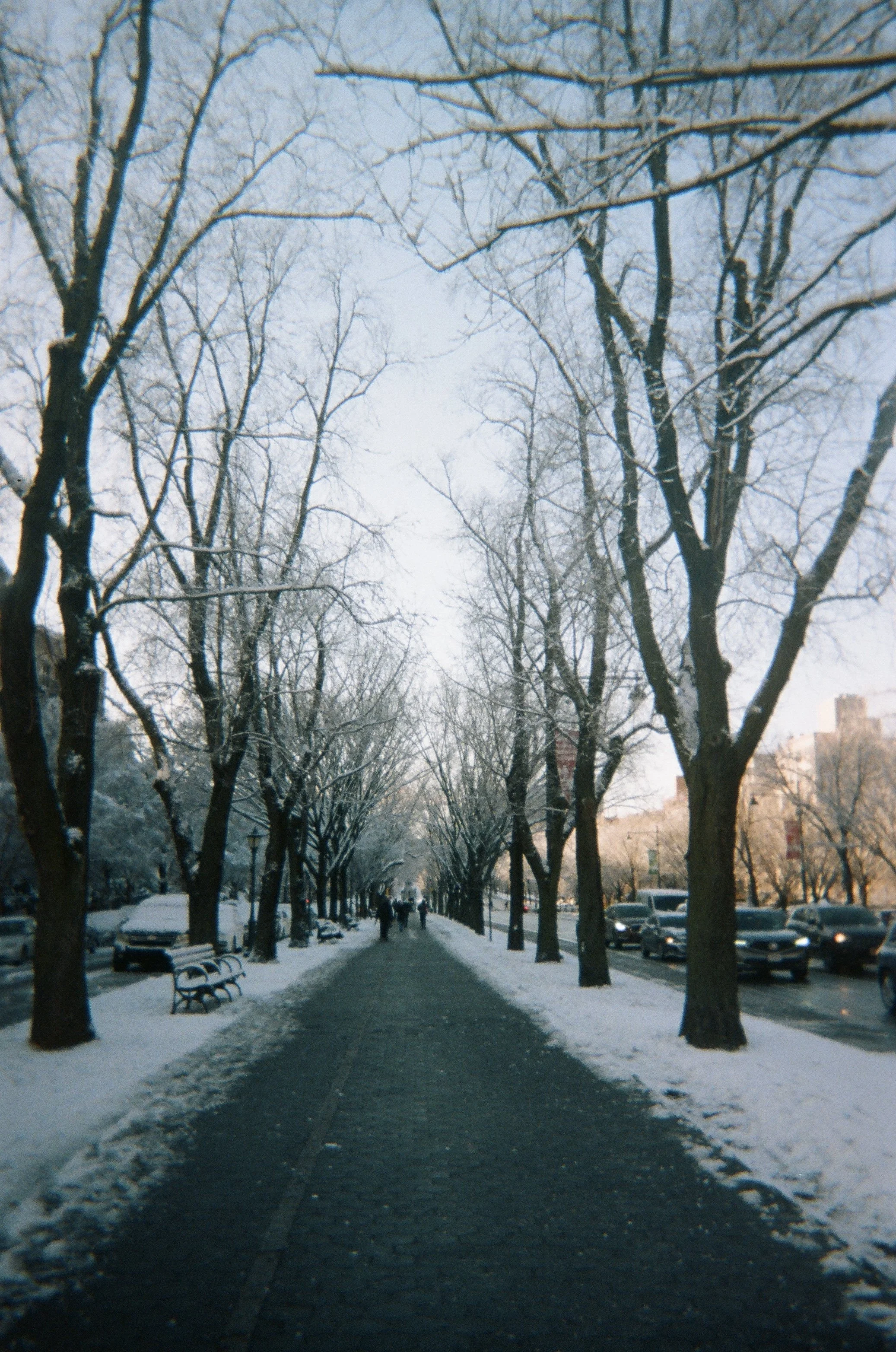 IMG_7251.jpeg