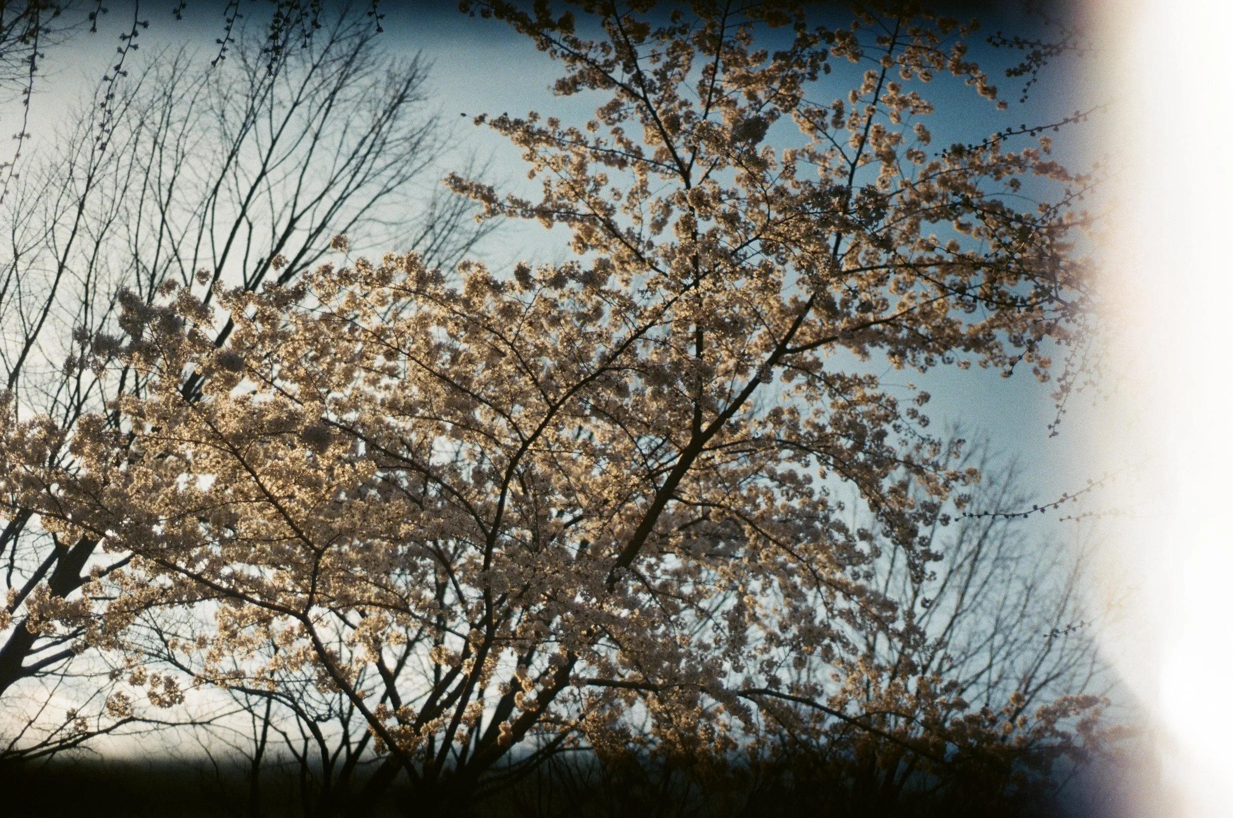 83710004.JPG