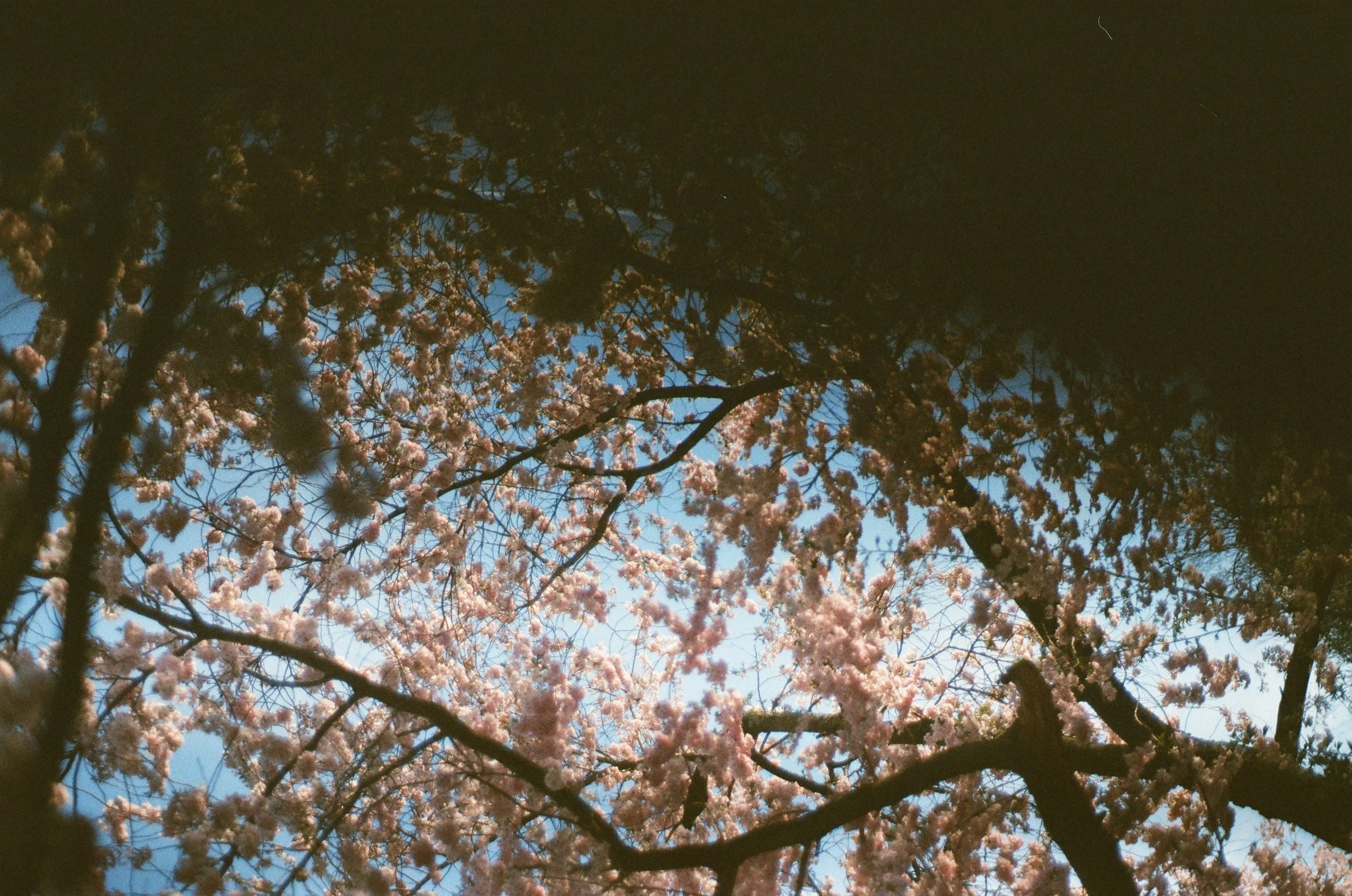 83710010.JPG