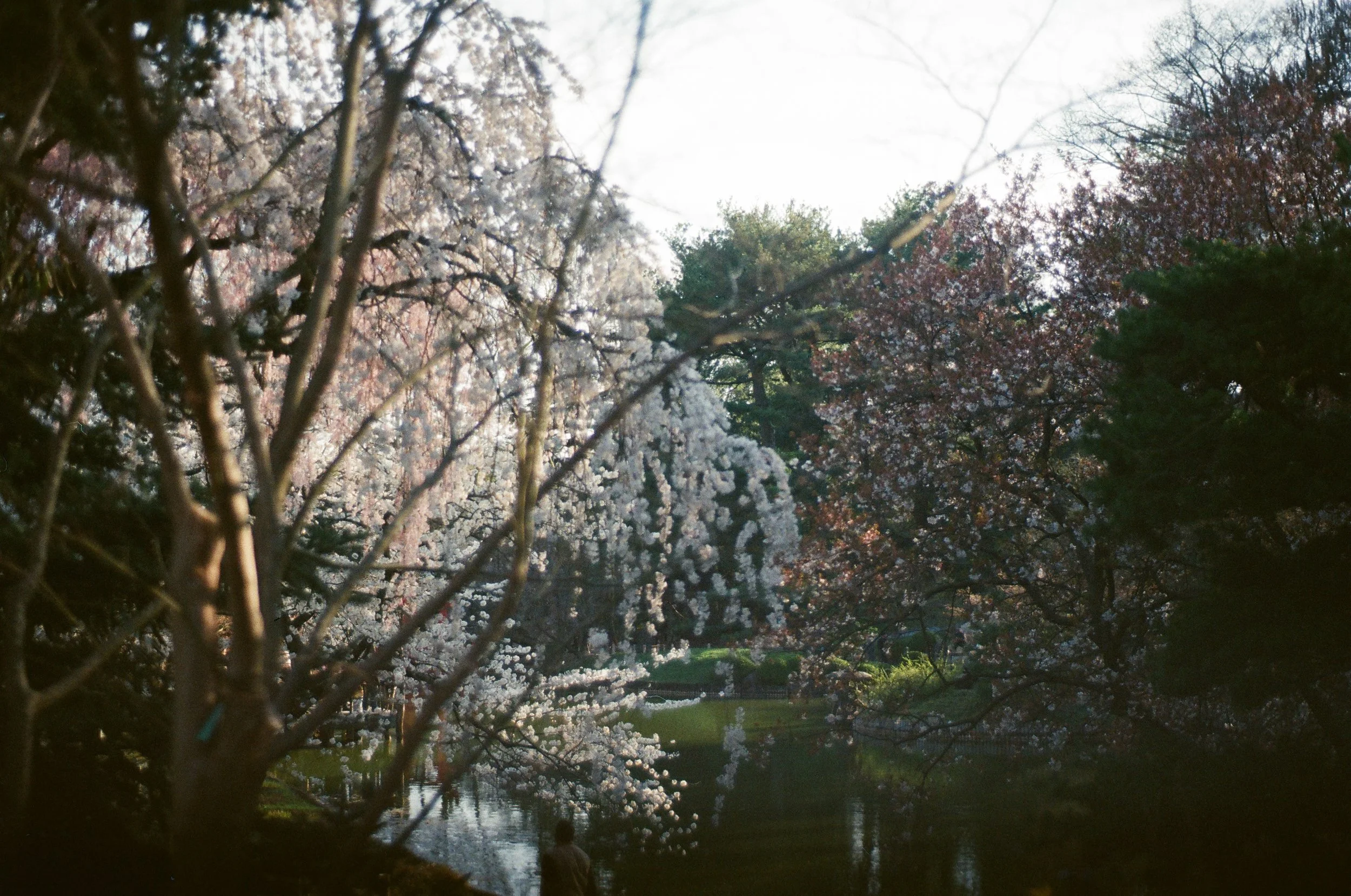 83710034.JPG