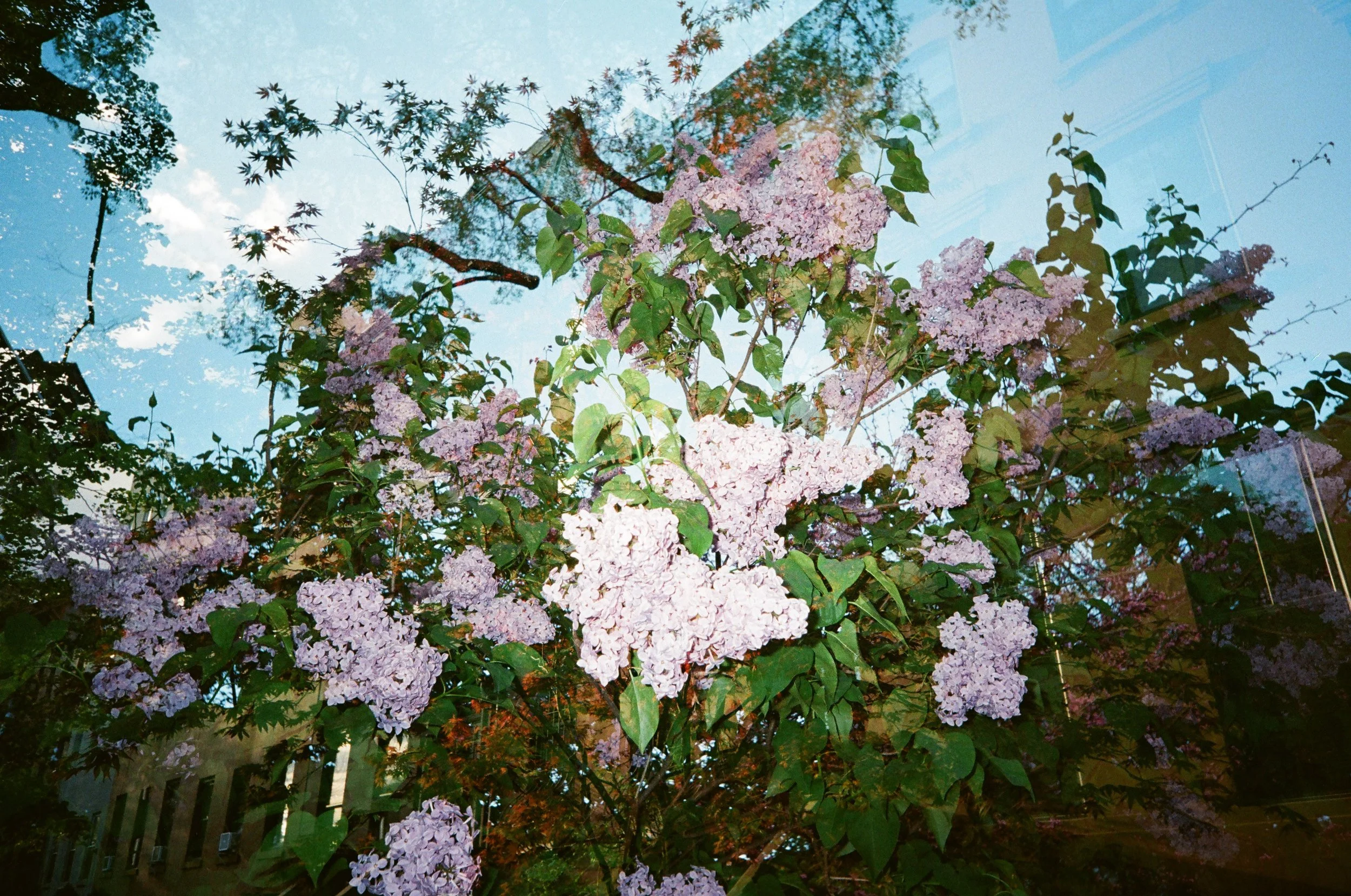 83700026.JPG