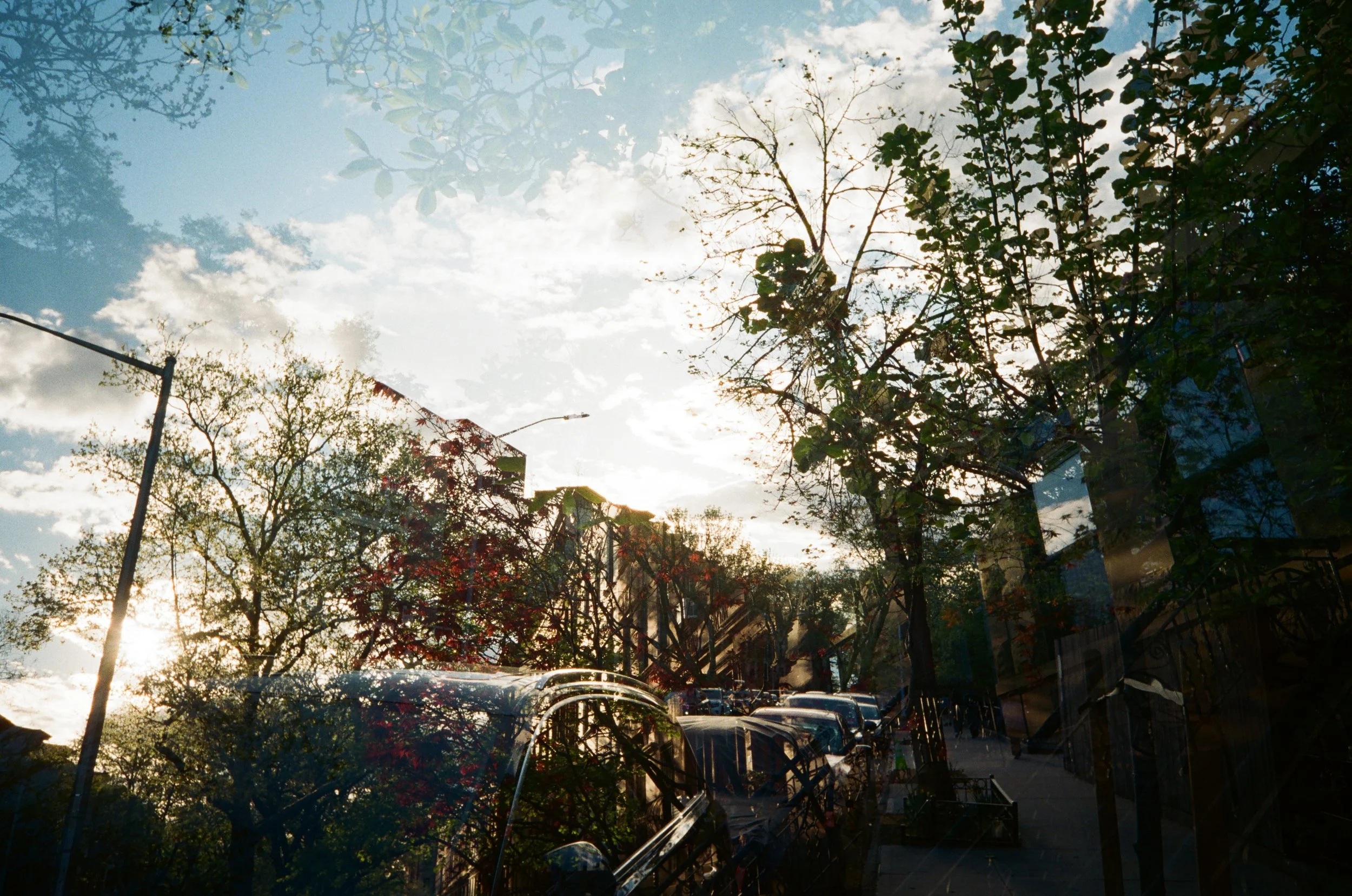 83700029.JPG