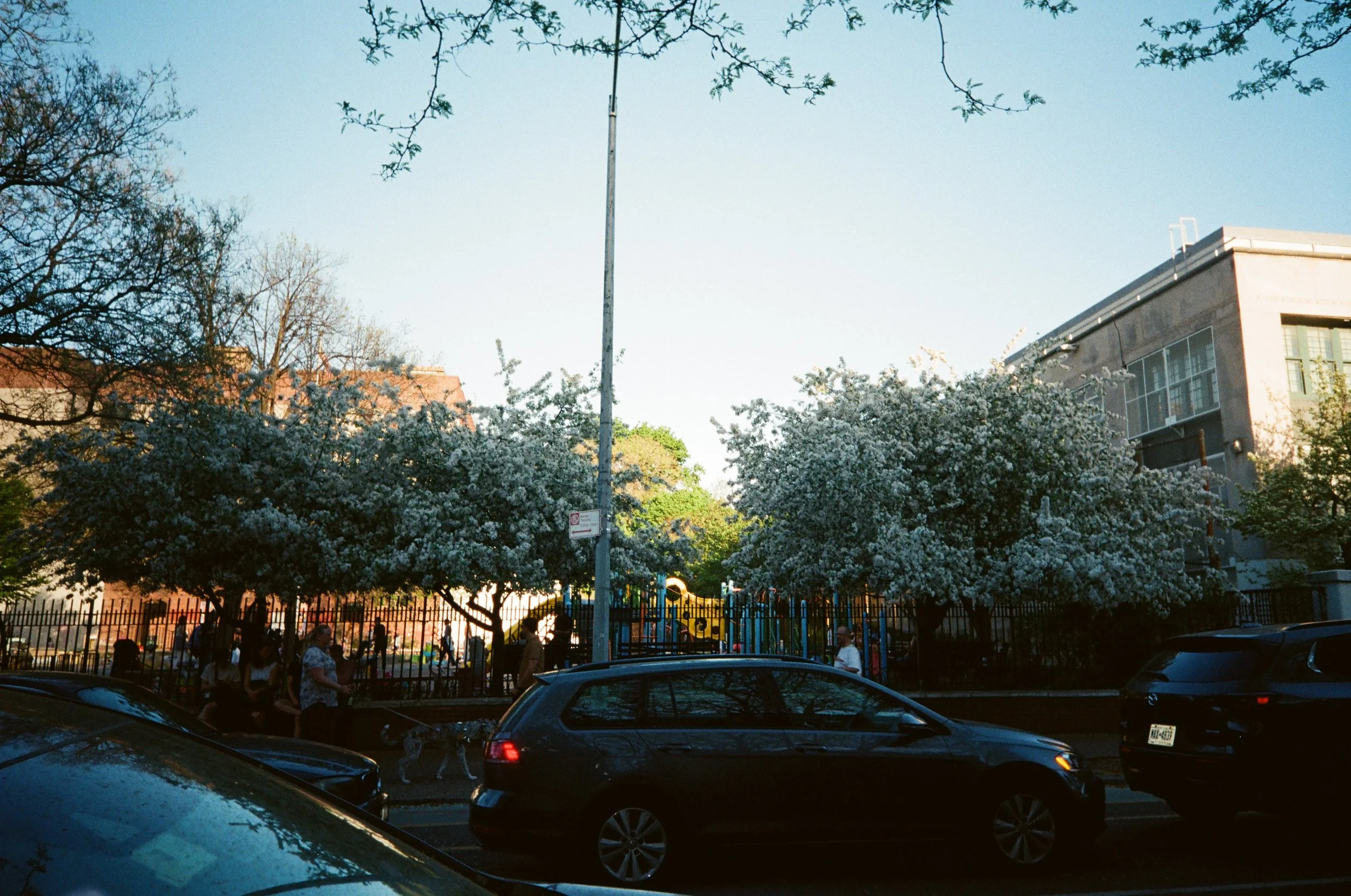 83700030.JPG