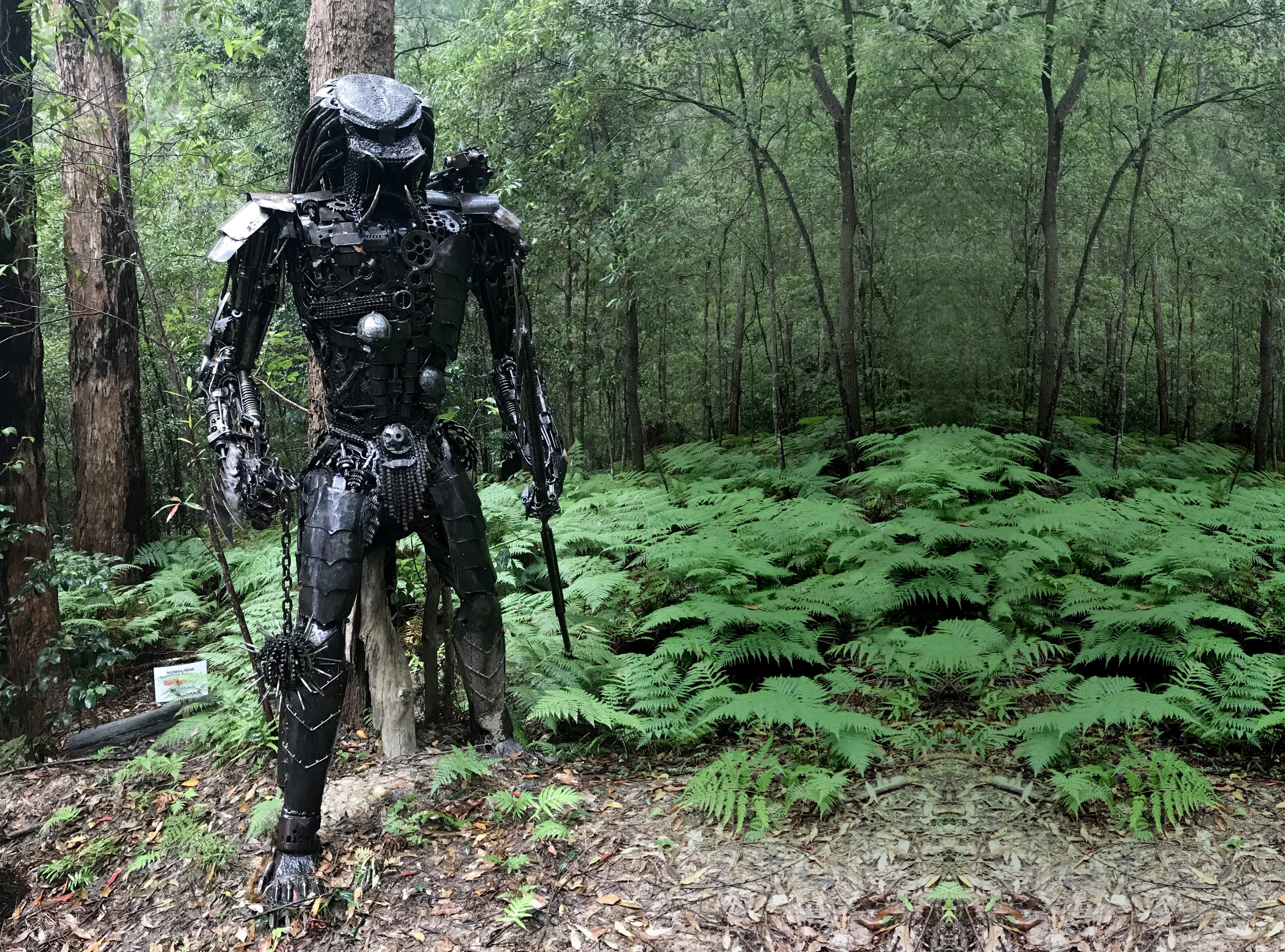 Predator_FullLength-ext.jpg