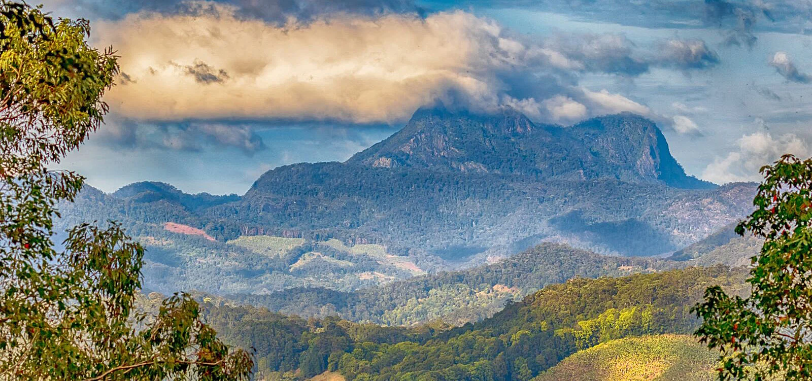 mount warning .jpg