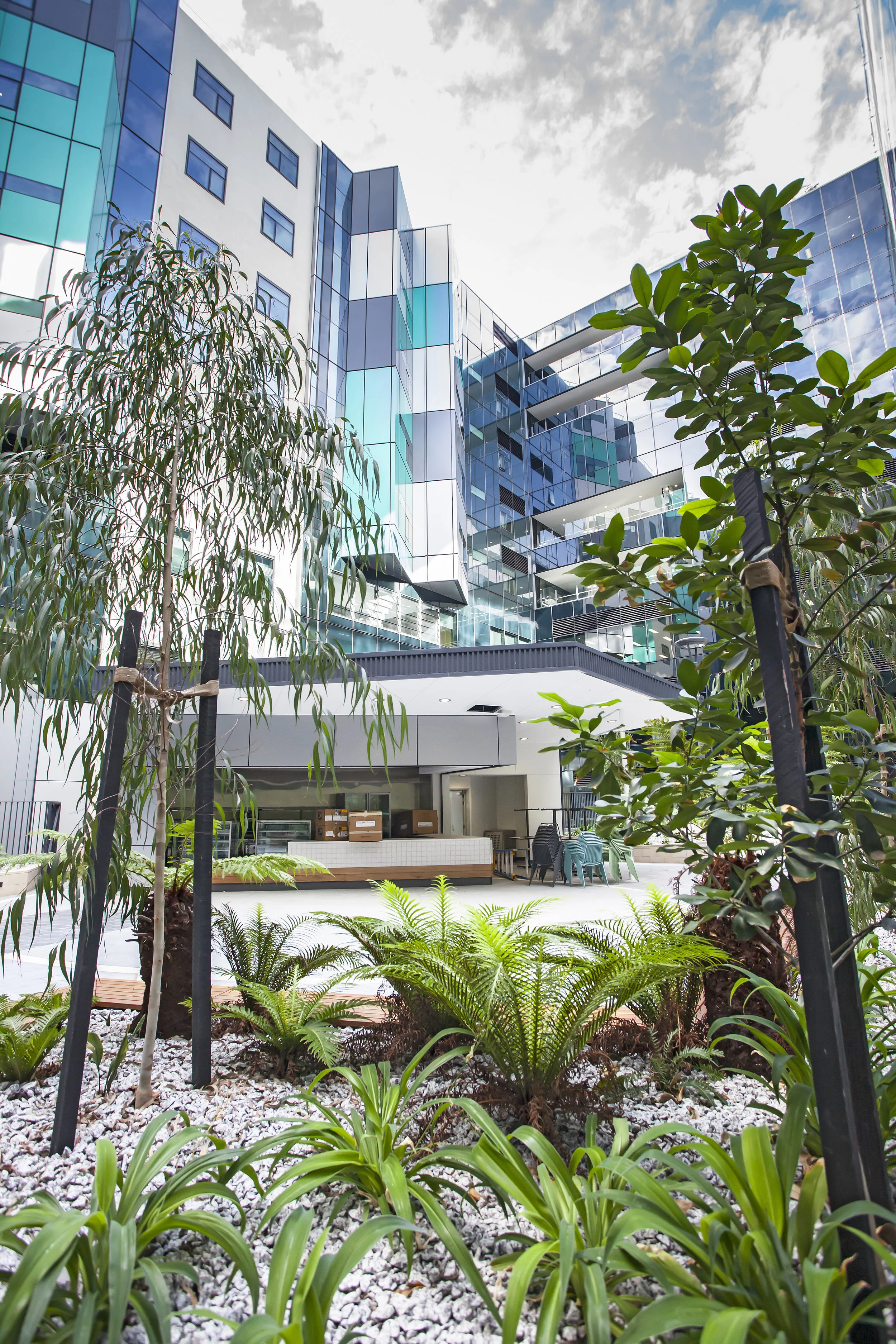 nrah exterior greenery.jpg