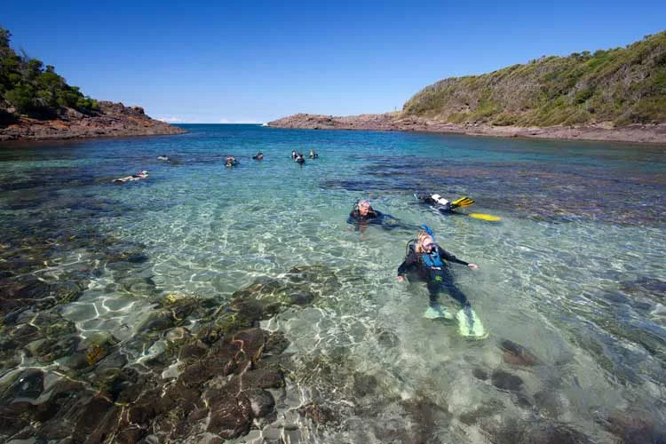 Scuba+diving_Bushrangers+Bay_Shellharbour+Scuba+Centre.jpg
