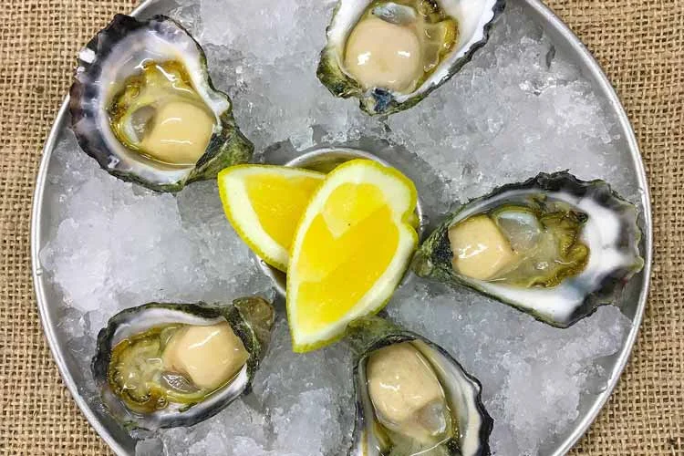 1+Tathra+Oysters-lowres.jpg