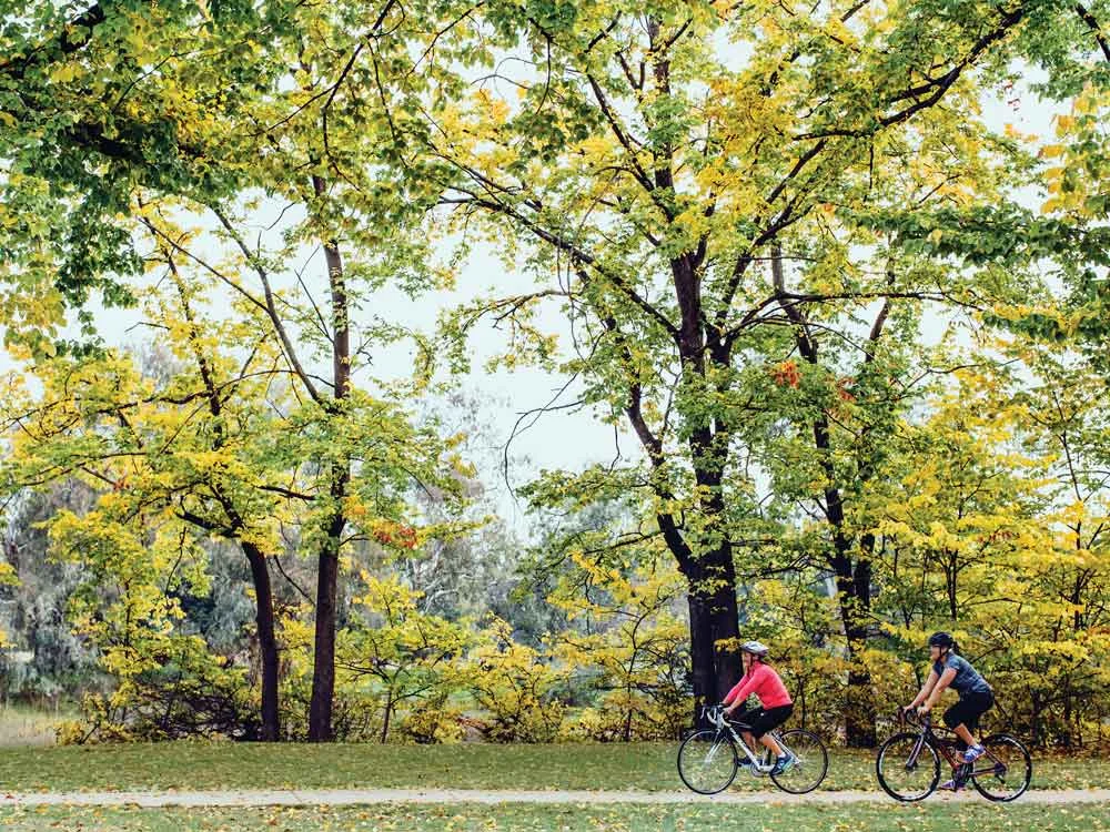 Bike-riding-along-Wagirra-Trail-at-Noreuil-Park-in-Albury--copy.jpg