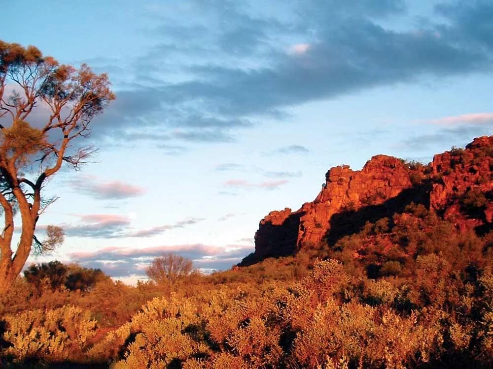 Whyalla-Wild-Dog-Hill.jpg