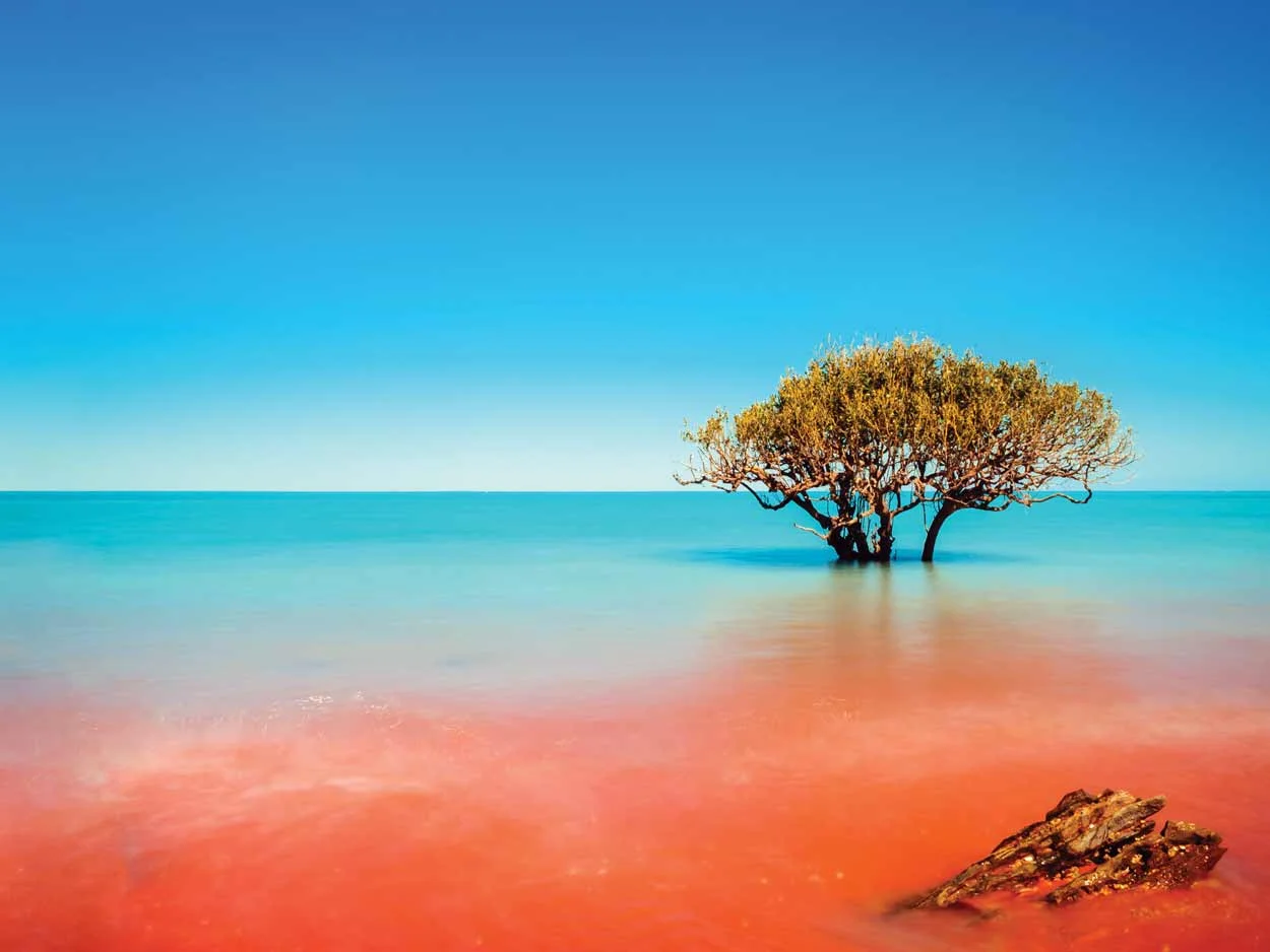 Broome_Amazing_Opener-ext.jpg